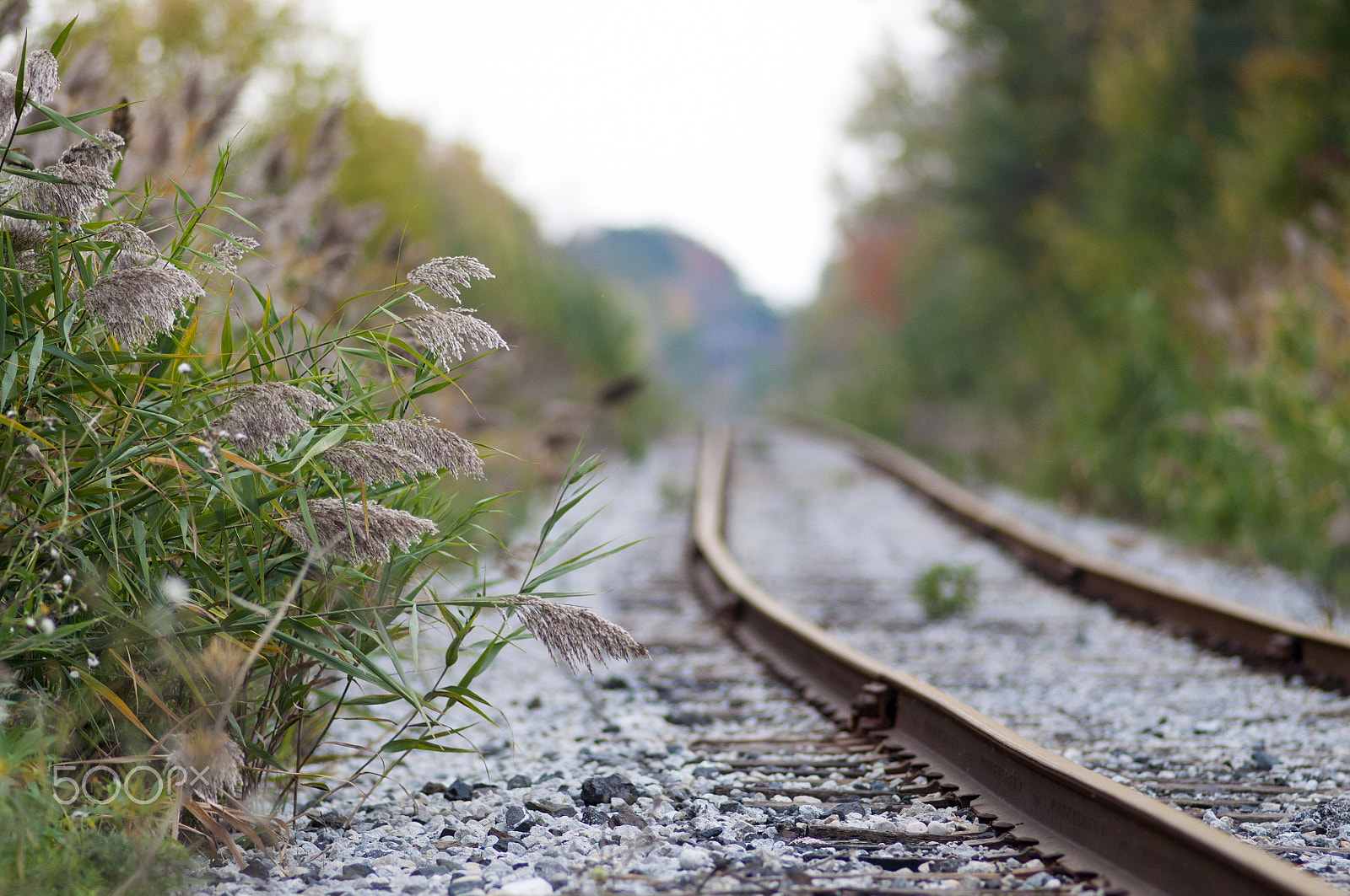 Nikon D90 sample photo. Into the distance photography