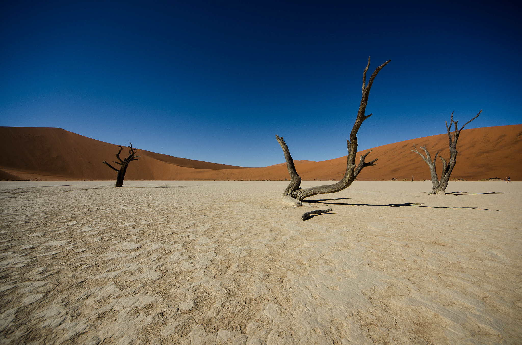 Sigma 8-16mm F4.5-5.6 DC HSM sample photo. Deadvlei photography