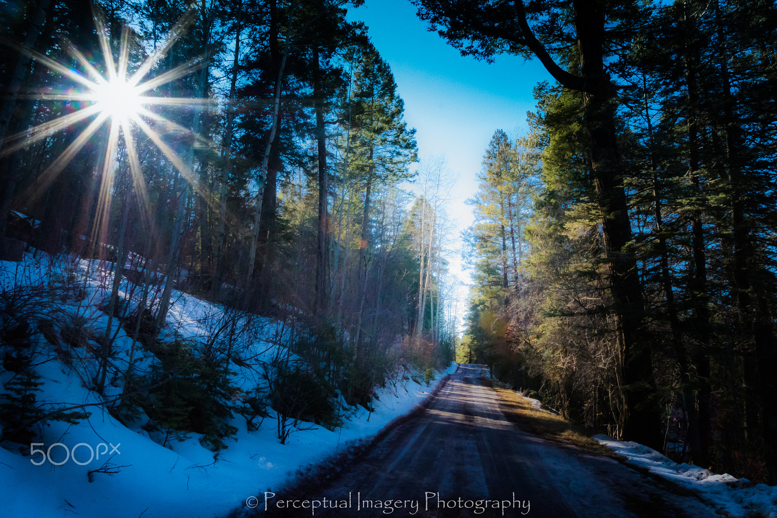 Sony ILCA-77M2 sample photo. Ice stars.... photography
