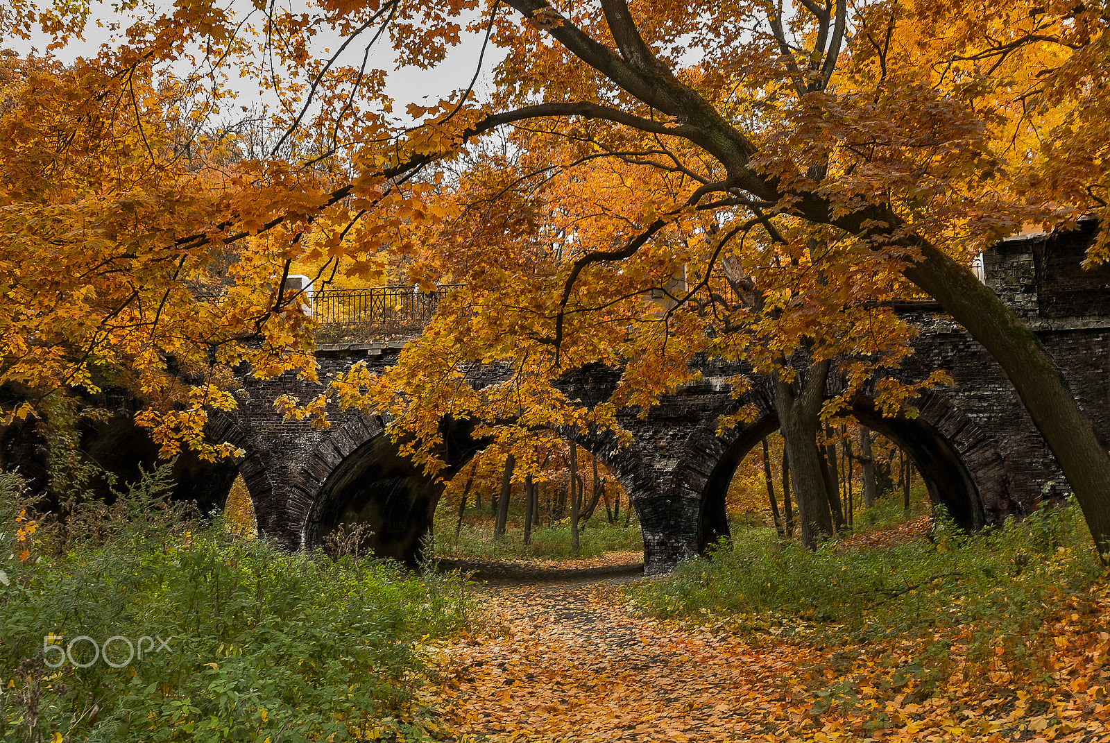 Nikon D200 sample photo. Old bridge photography