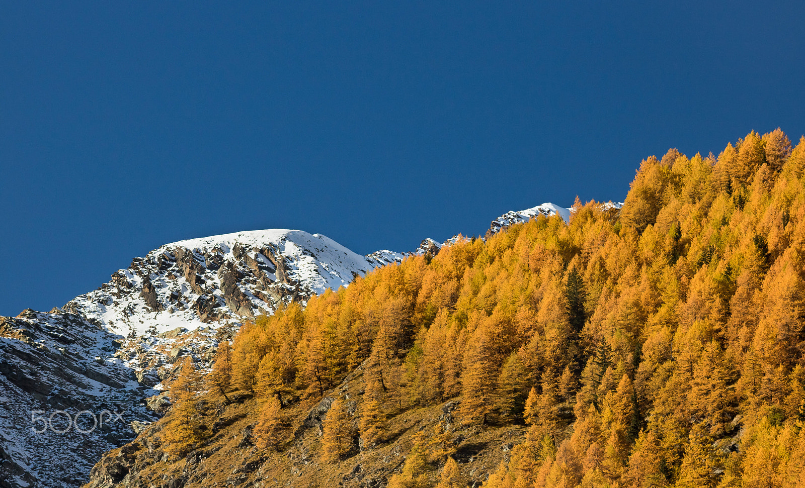Canon EF 200mm F2.8L II USM sample photo. Gran paradis photography