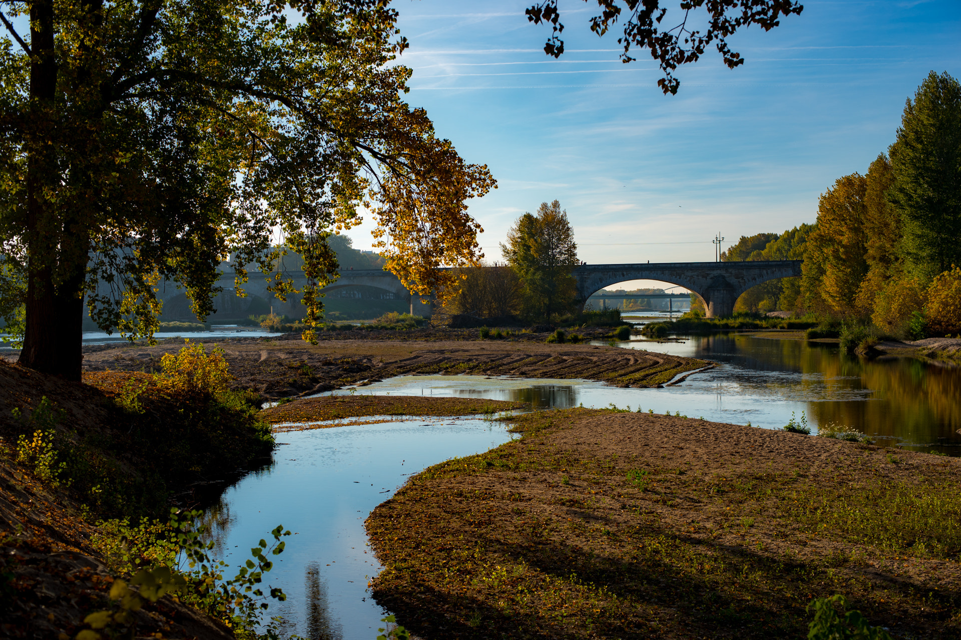 Nikon D750 + AF Nikkor 50mm f/1.4 sample photo. Pont royal, seen from the island in orléans. photography