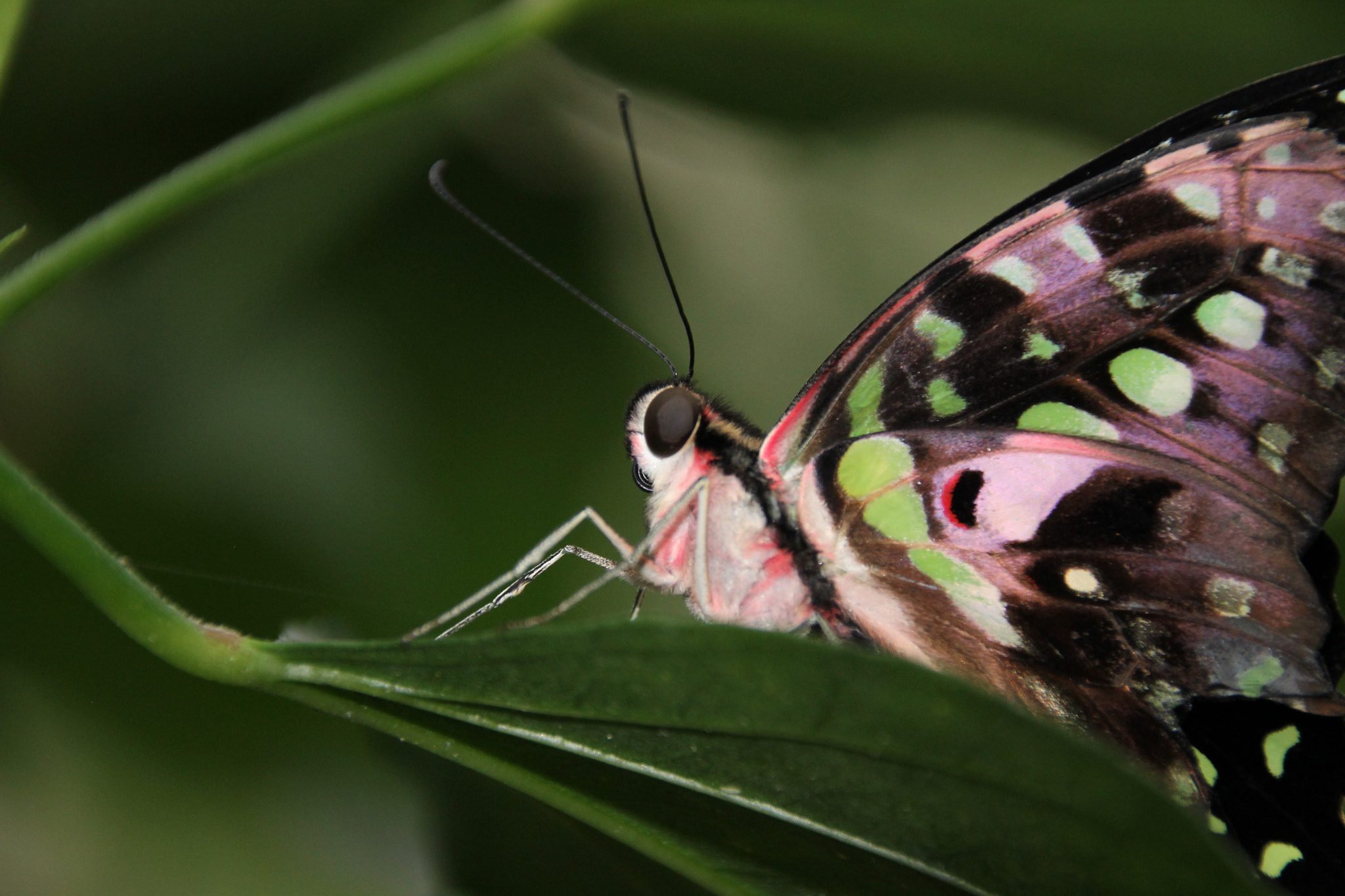 Sigma 18-250mm F3.5-6.3 DC OS HSM sample photo. Img photography