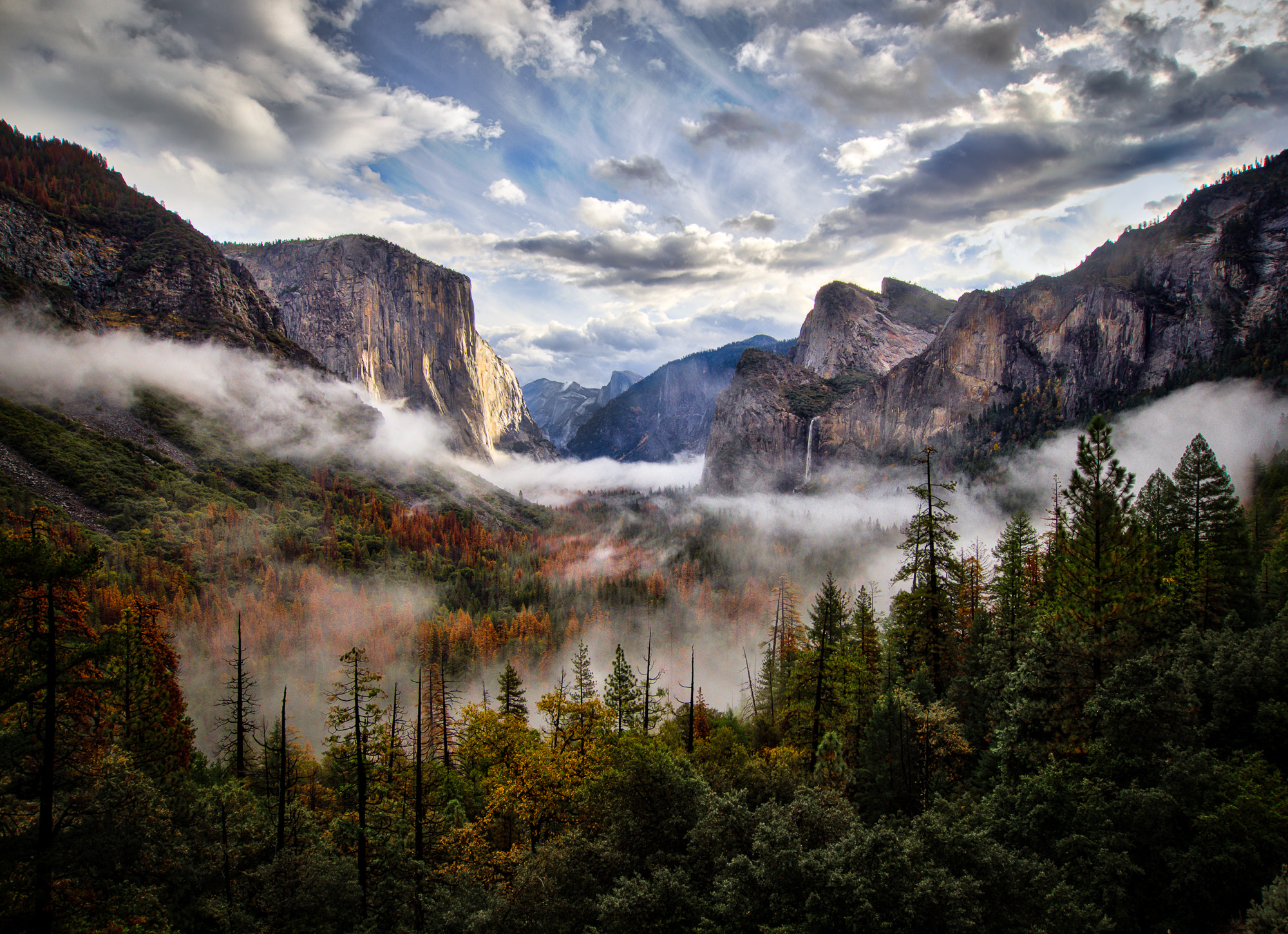 Olympus OM-D E-M10 + OLYMPUS M.9-18mm F4.0-5.6 sample photo. Tunnel view photography