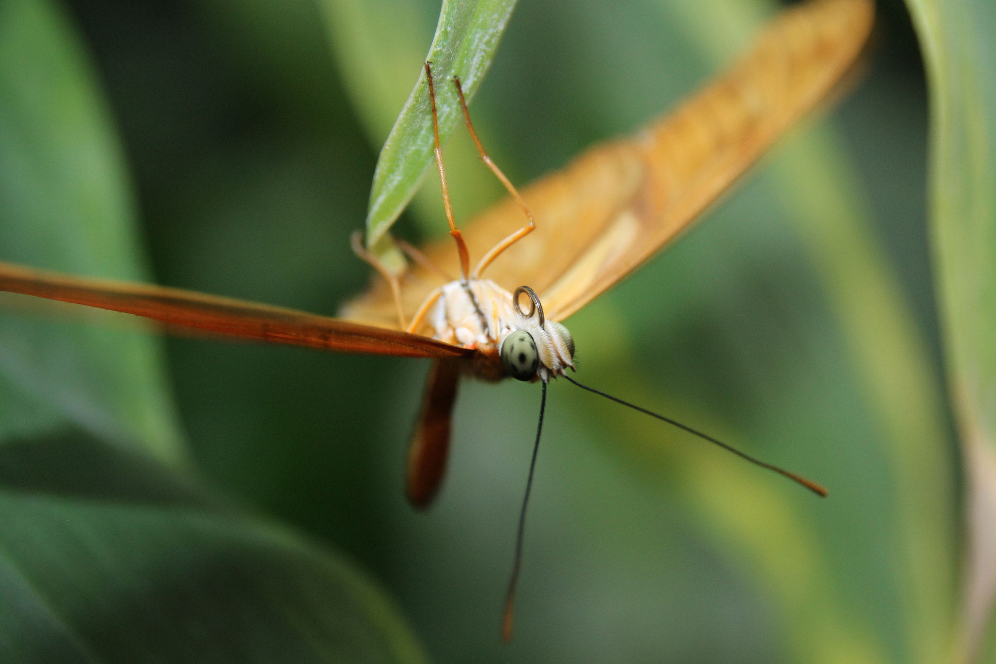 Sigma 18-250mm F3.5-6.3 DC OS HSM sample photo. Img photography