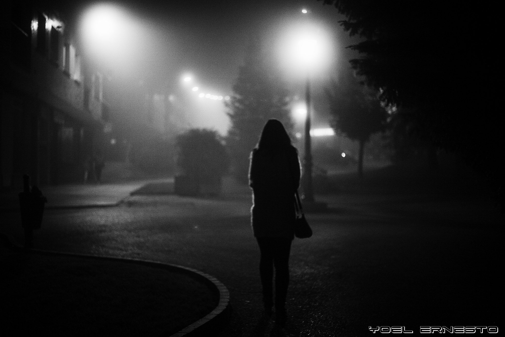 Canon EOS 5D + Canon EF 50mm f/1.8 sample photo. La niebla. photography