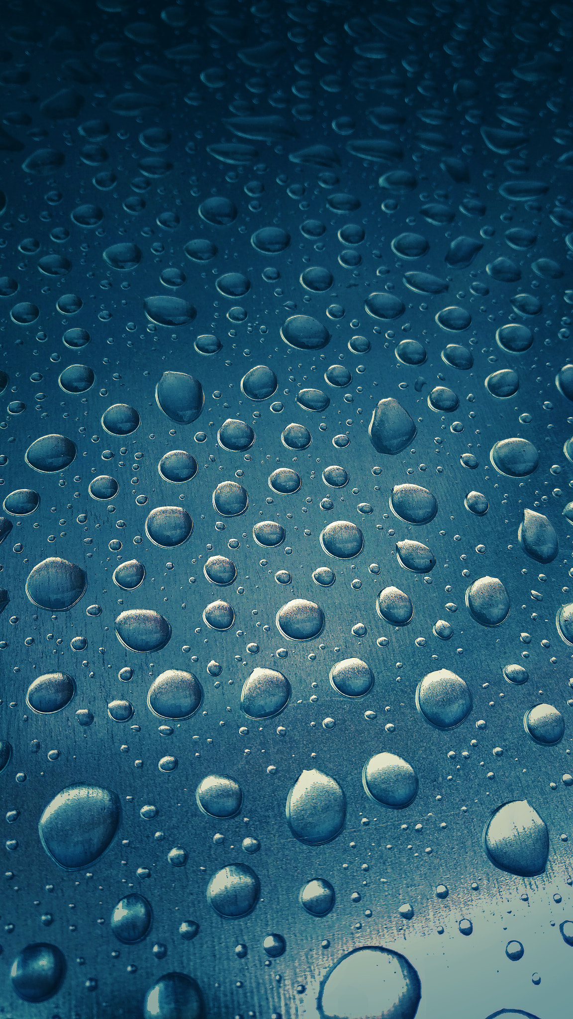 HTC M9 sample photo. Rain drops photography