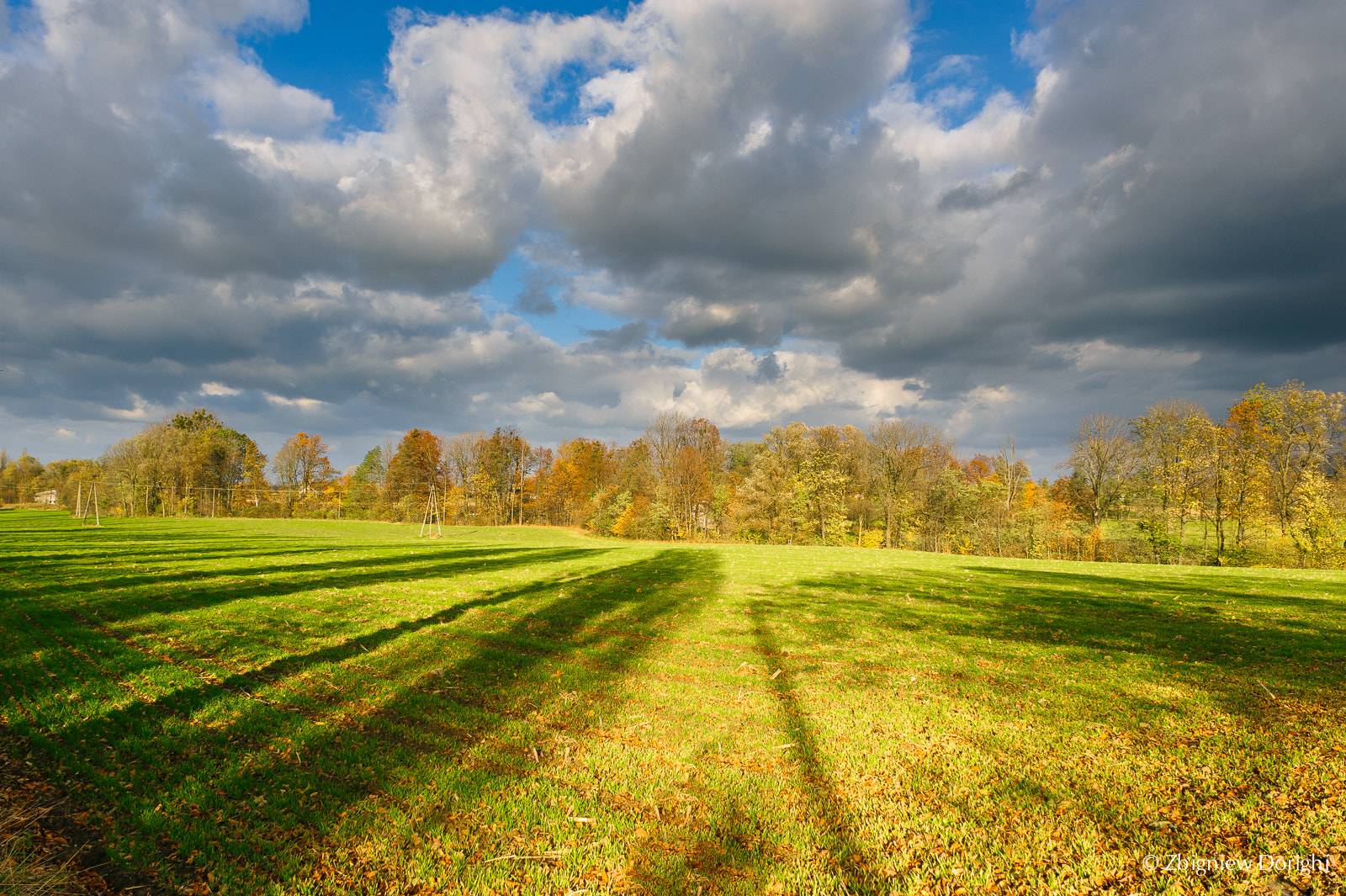 Nikon D700 sample photo. Autumn field with shadows photography