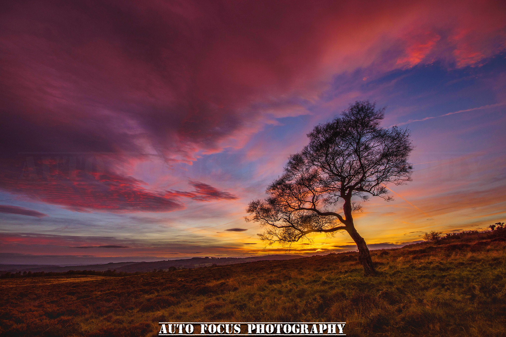 Sigma AF 10-20mm F4-5.6 EX DC sample photo. The lone tree photography