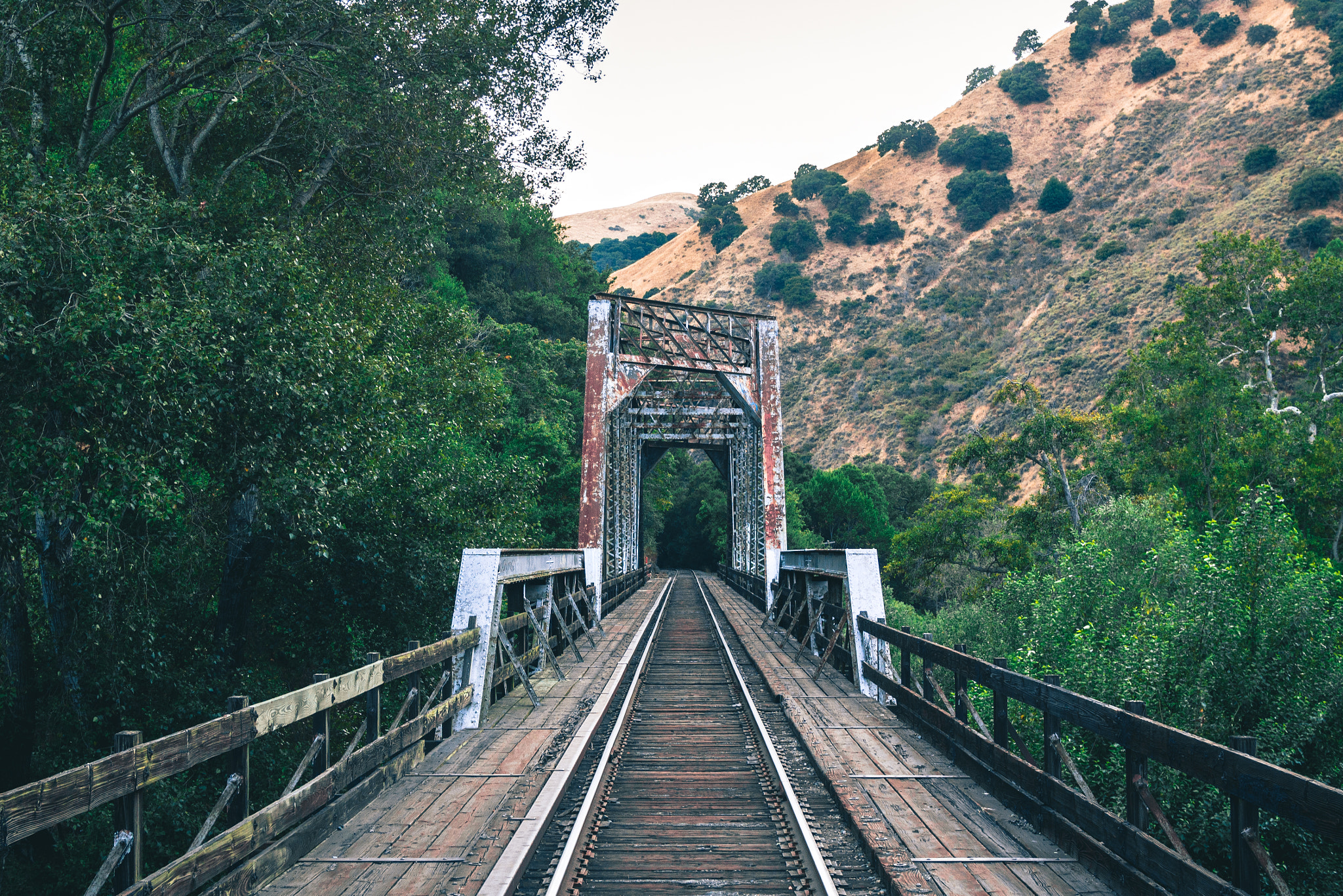 Olympus OM-D E-M5 + Olympus M.Zuiko Digital 25mm F1.8 sample photo. Niles canyon railway photography