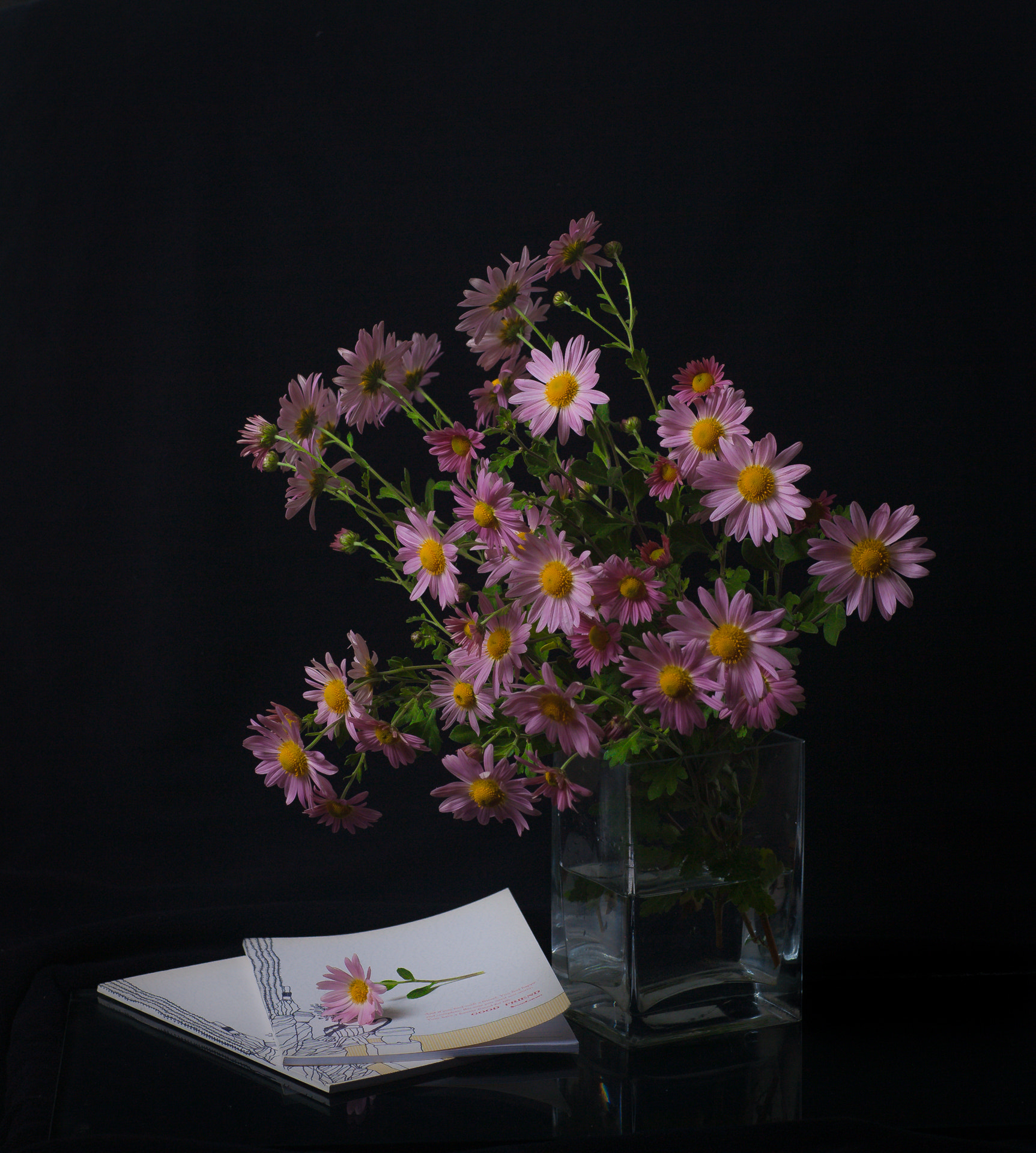 Canon EOS 5D sample photo. Chrysanthemum photography