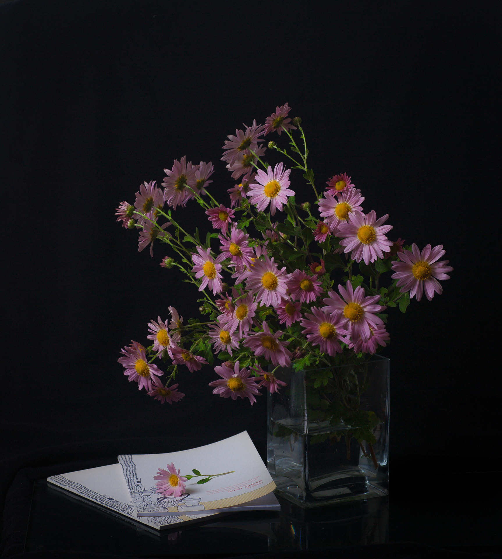 Canon EOS 5D + Canon EF 85mm F1.2L II USM sample photo. Chrysanthemum photography