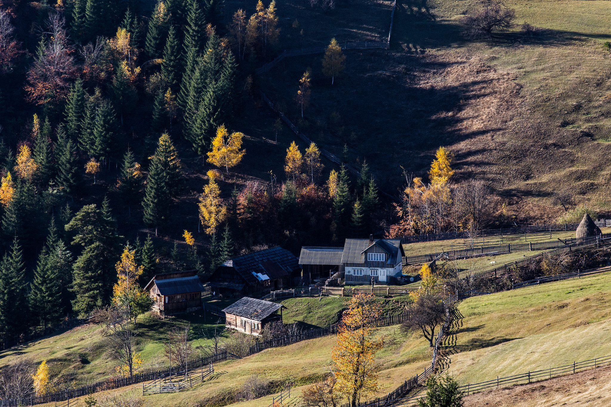 Canon EOS 6D + Tamron SP AF 70-200mm F2.8 Di LD (IF) MACRO sample photo. Autumn photography