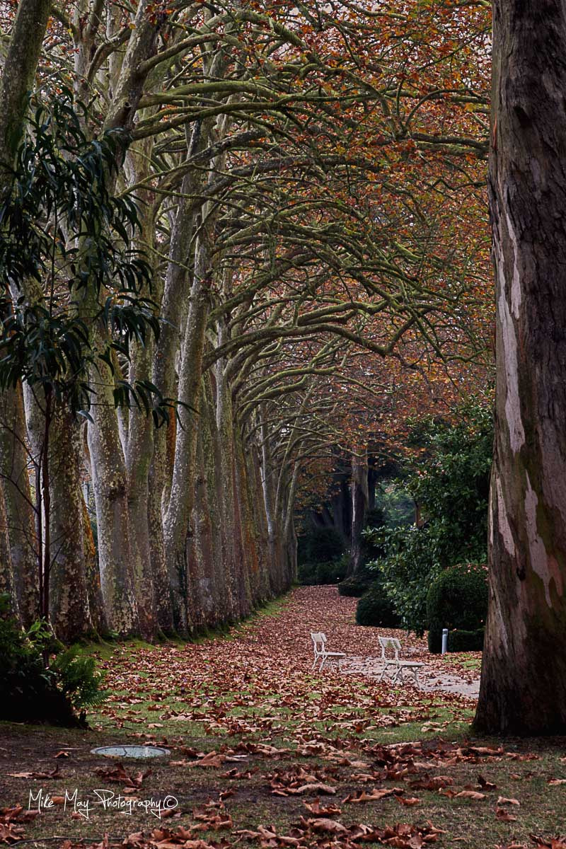 Sigma 17-70mm F2.8-4 DC Macro OS HSM sample photo. "paseo de los plátanos" photography