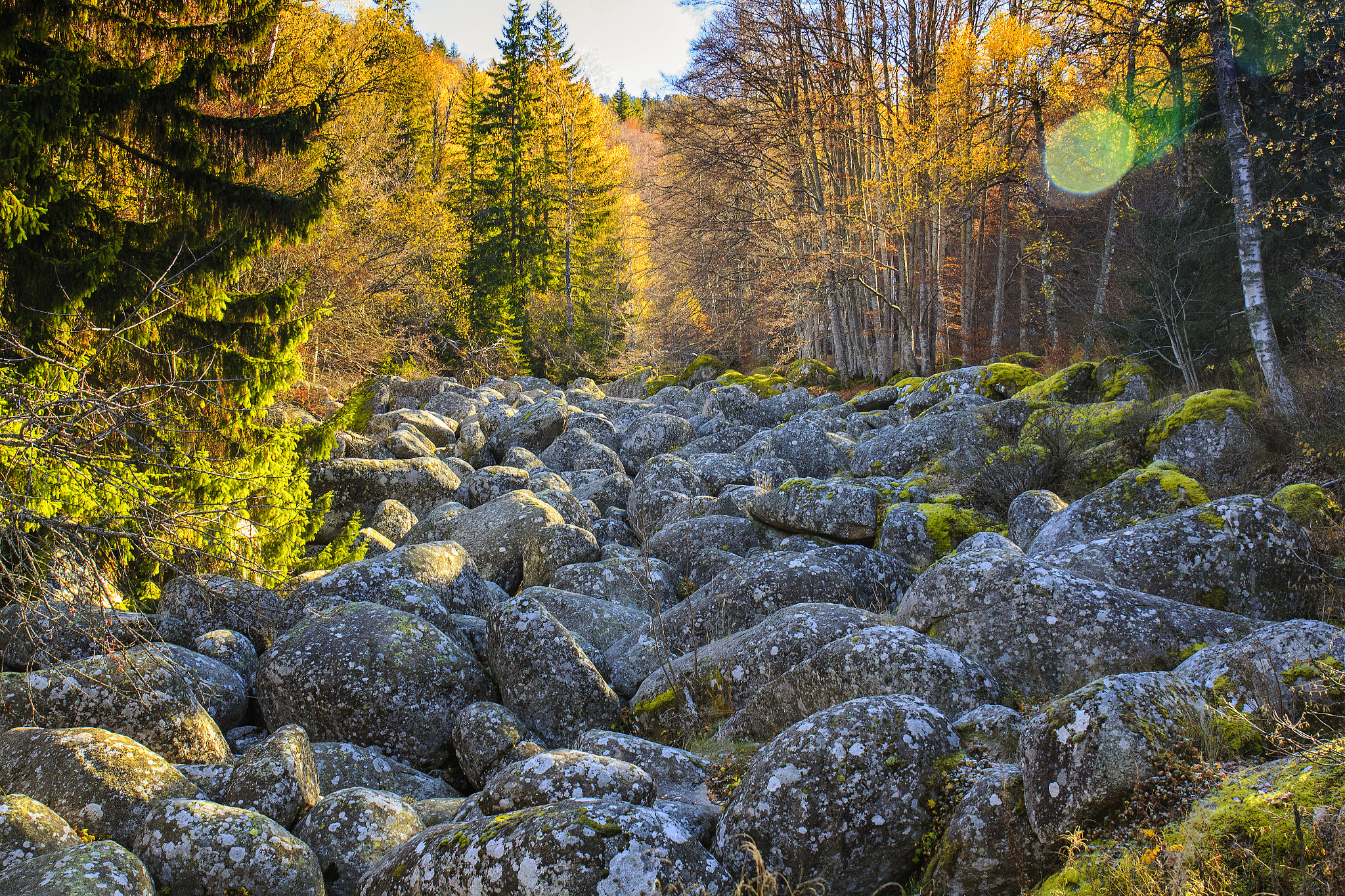 Canon EF 24-70mm F4L IS USM sample photo. Zlatnite mostove photography