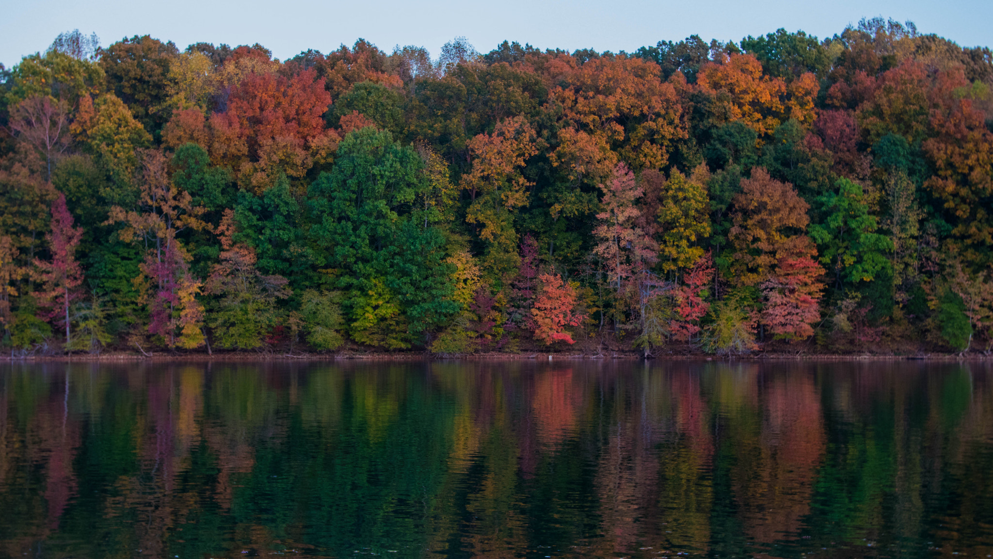 Canon EF-S 18-135mm F3.5-5.6 IS sample photo. Colorful trees reflection photography