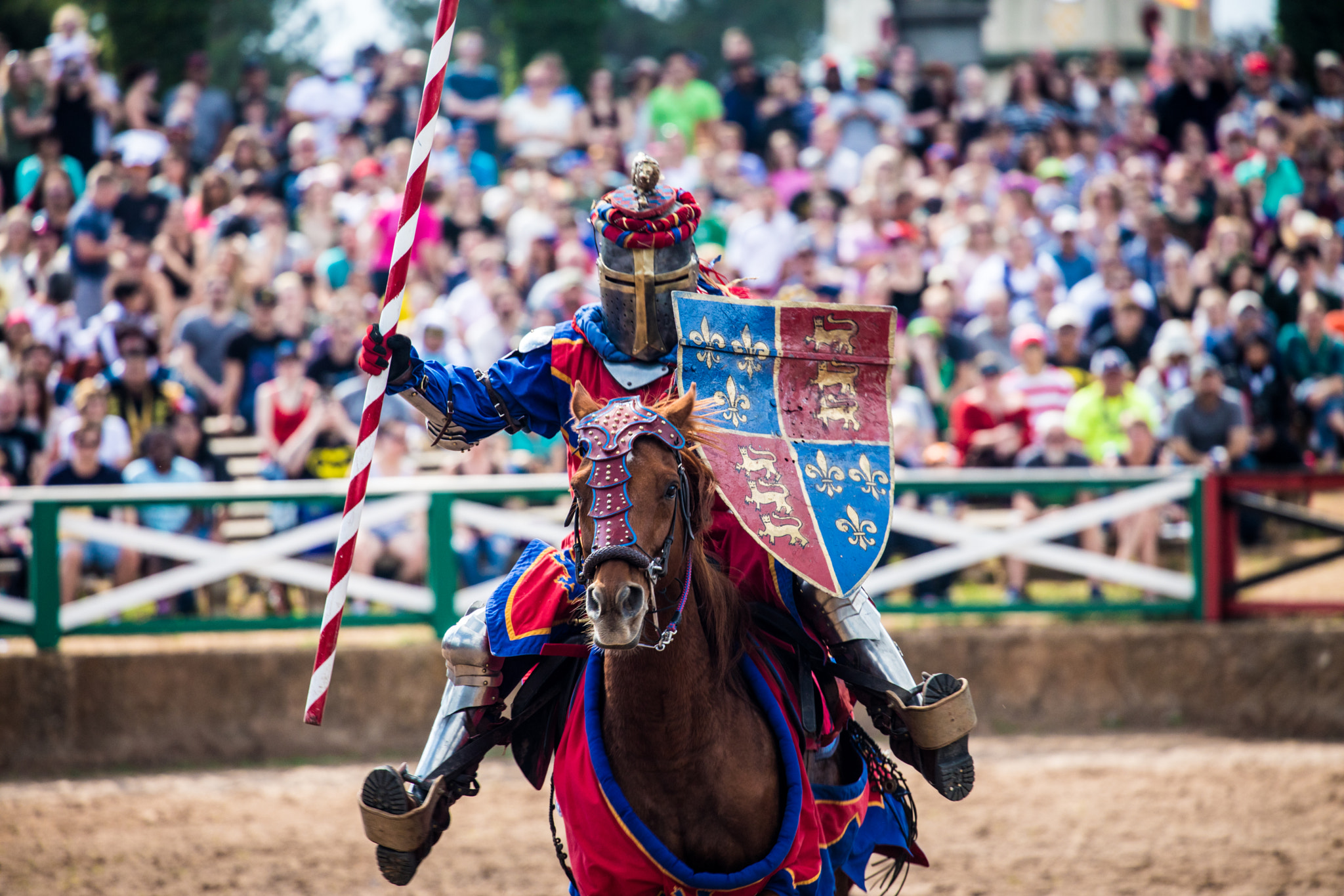 Canon EF 70-300mm F4-5.6L IS USM sample photo. The english knight photography