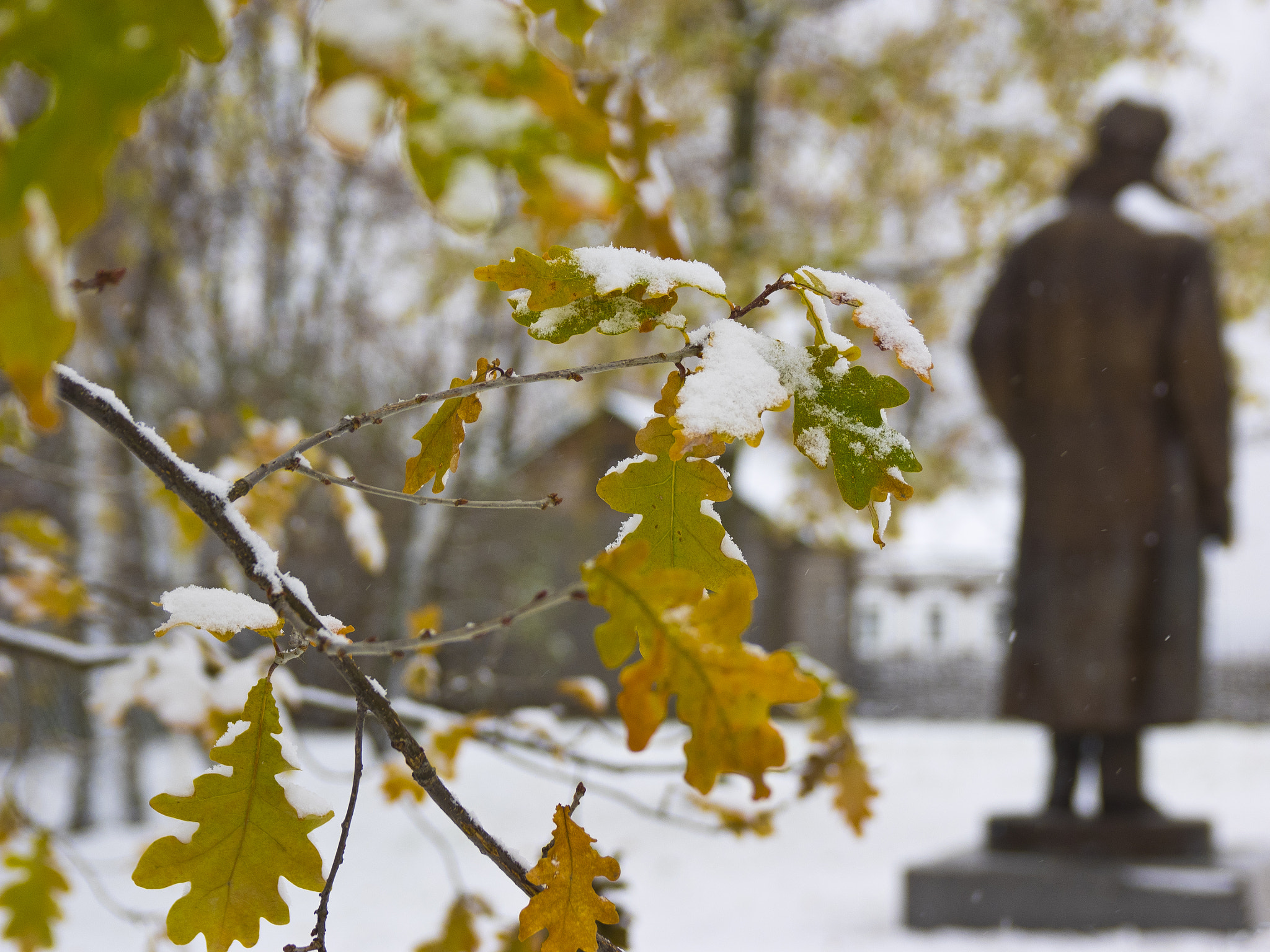 SIGMA 18-50mm F2.8 DC sample photo. A farewell to autumn photography