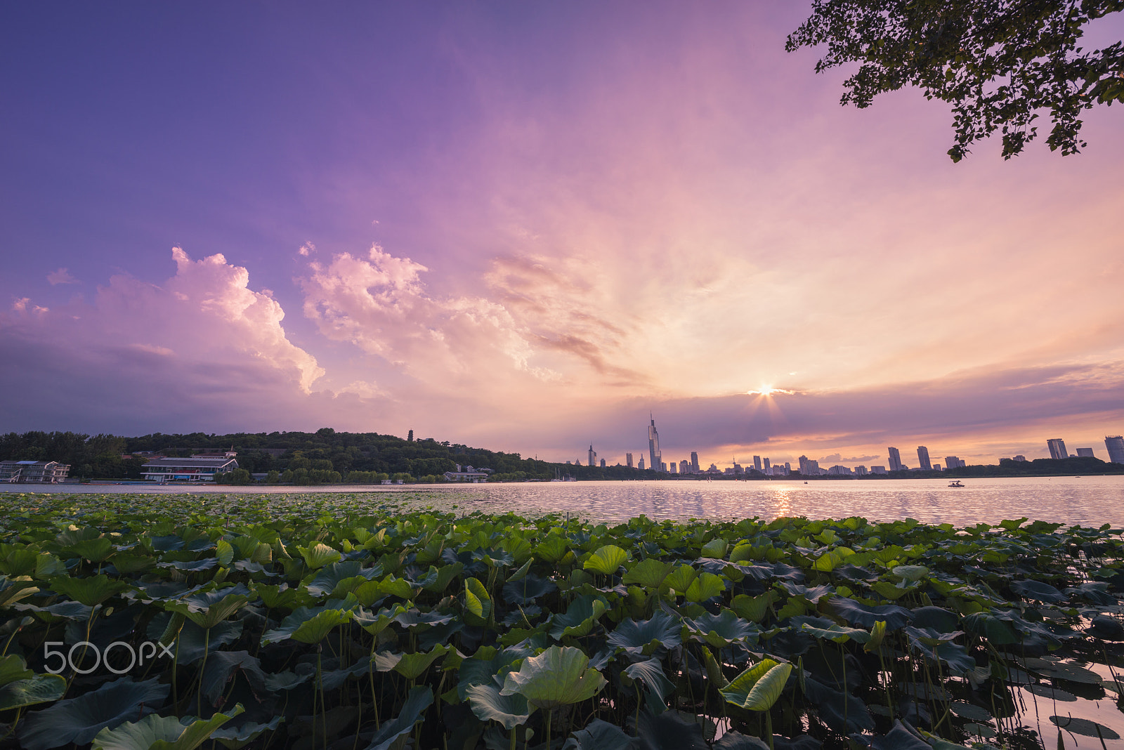 Sigma 12-24mm F4.5-5.6 II DG HSM sample photo. Sunset at xuanwu lake photography