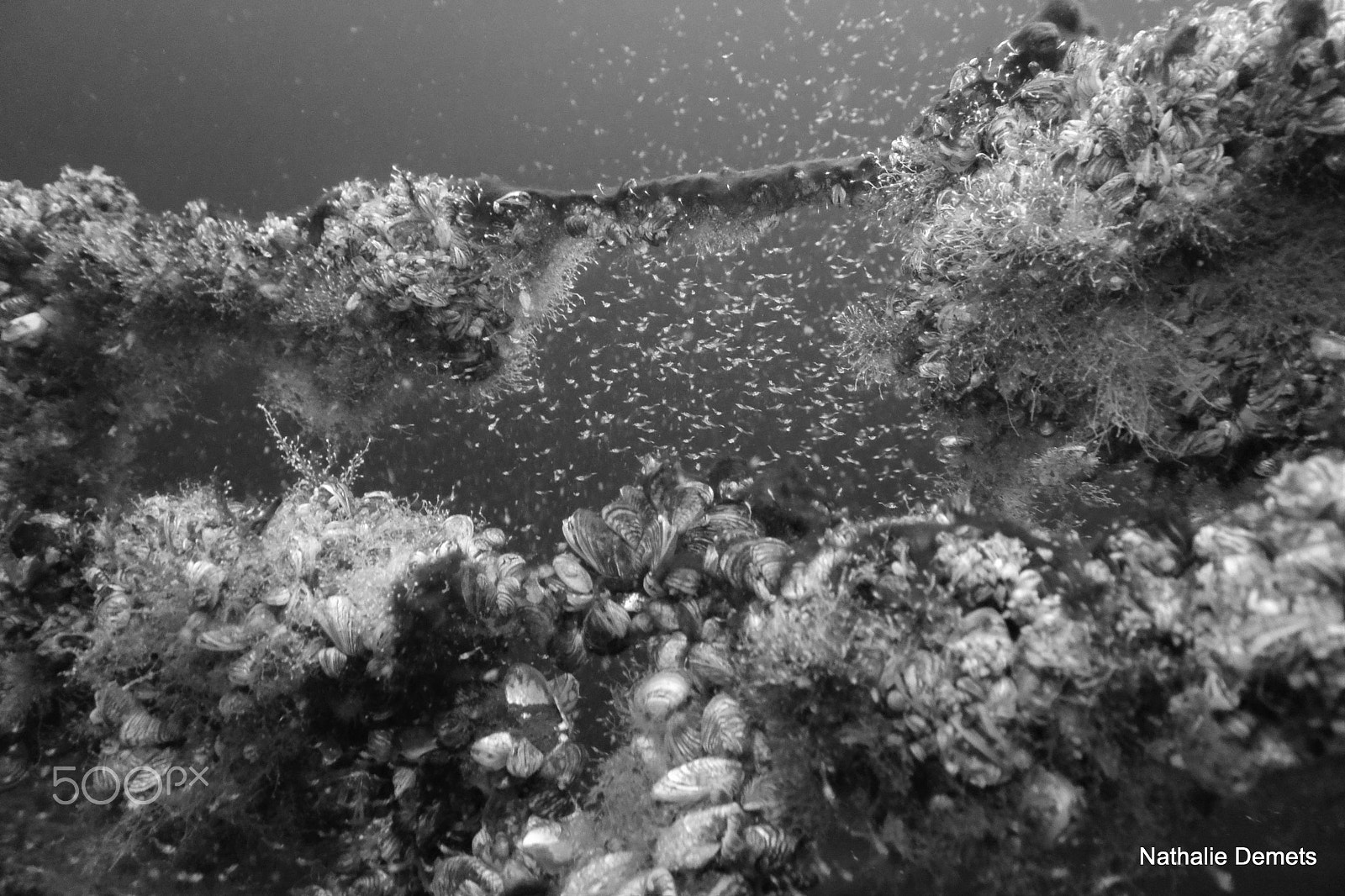 Nikon 1 J3 sample photo. Wreck photography