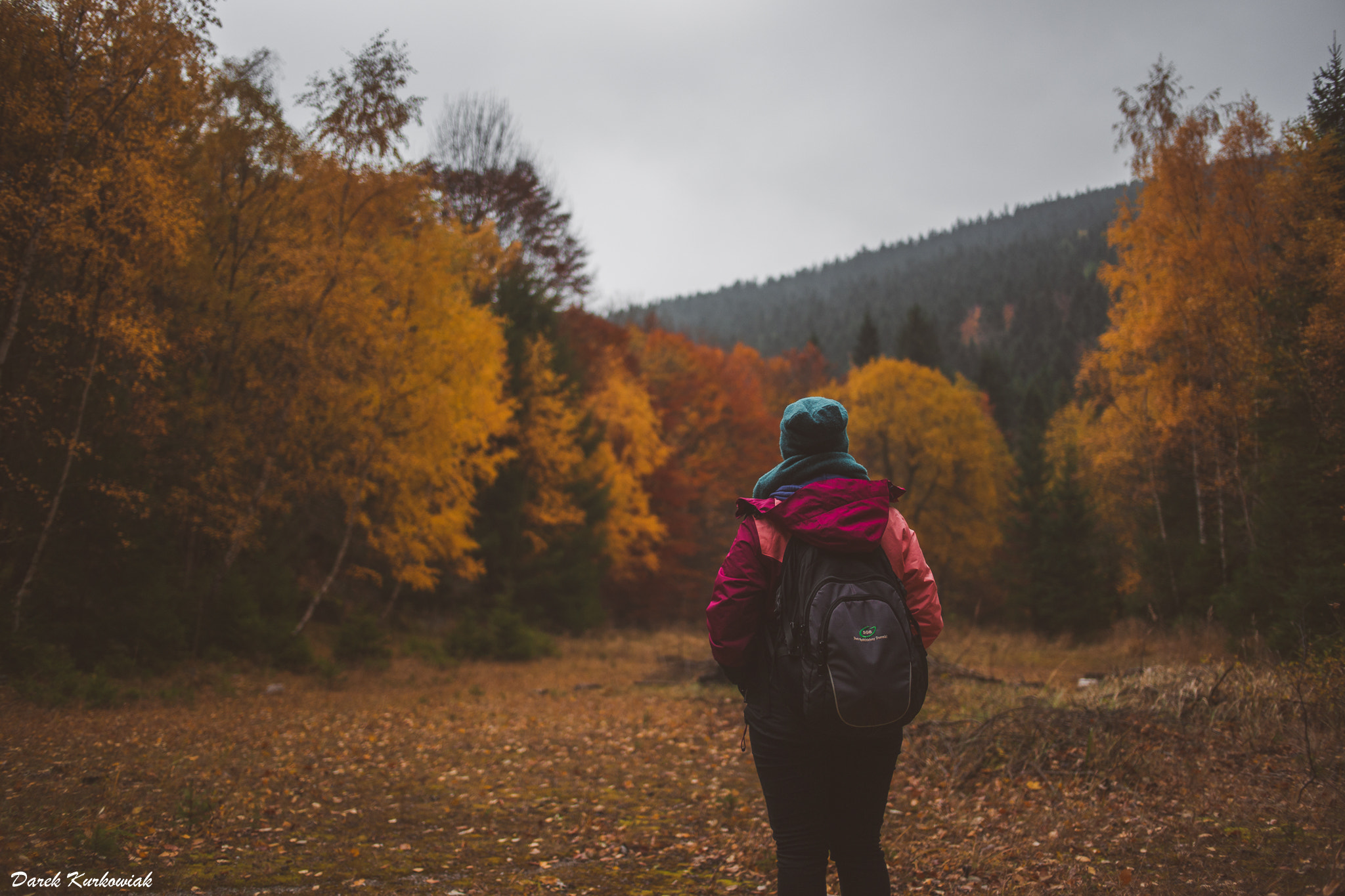 Sony Alpha DSLR-A850 + Minolta AF 35mm F2 [New] sample photo. Autumn is beautiful photography