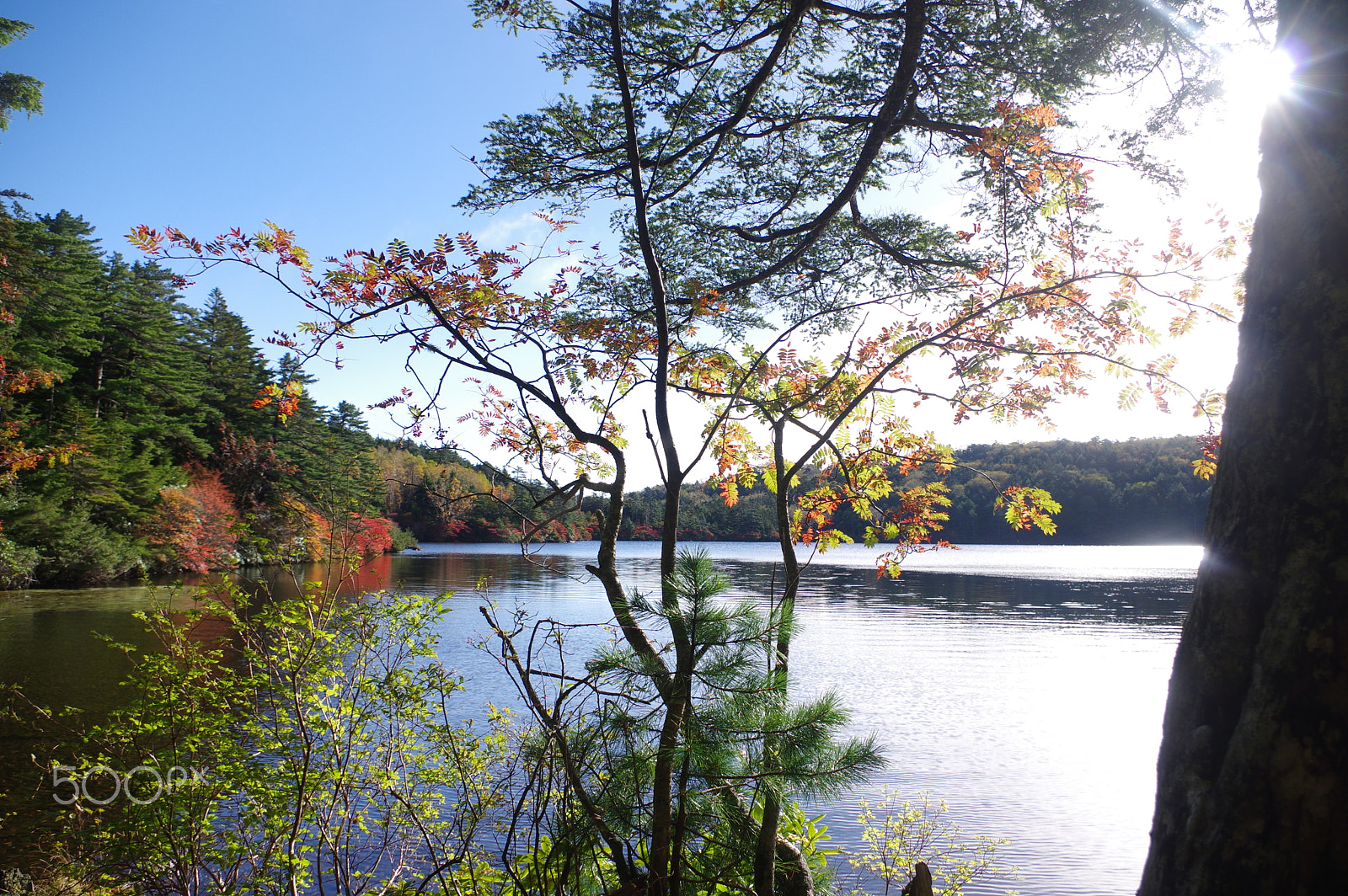 smc PENTAX-DA L 18-55mm F3.5-5.6 sample photo. Shirakoma pond photography