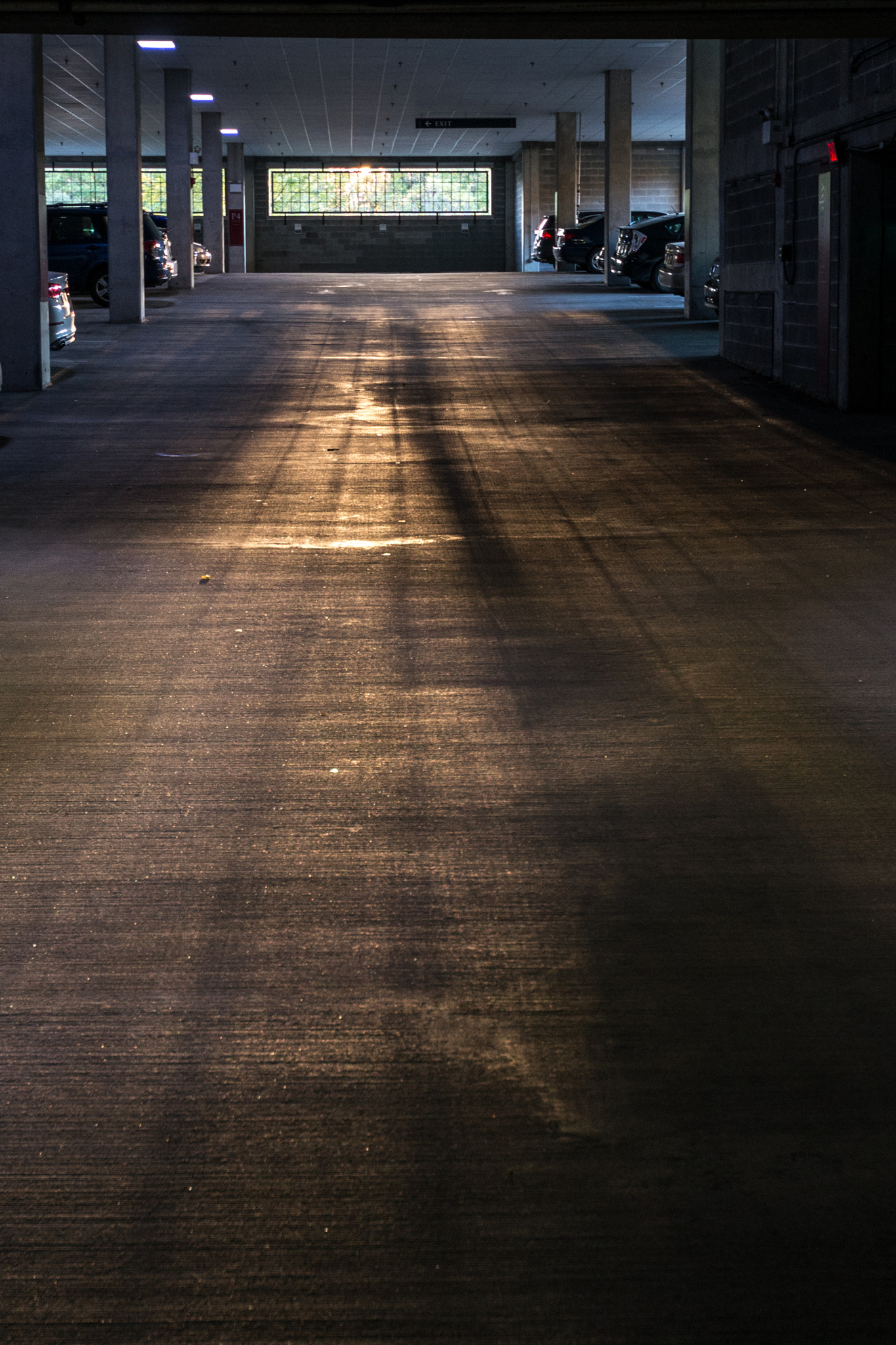 Nikon D800 sample photo. Garage light photography