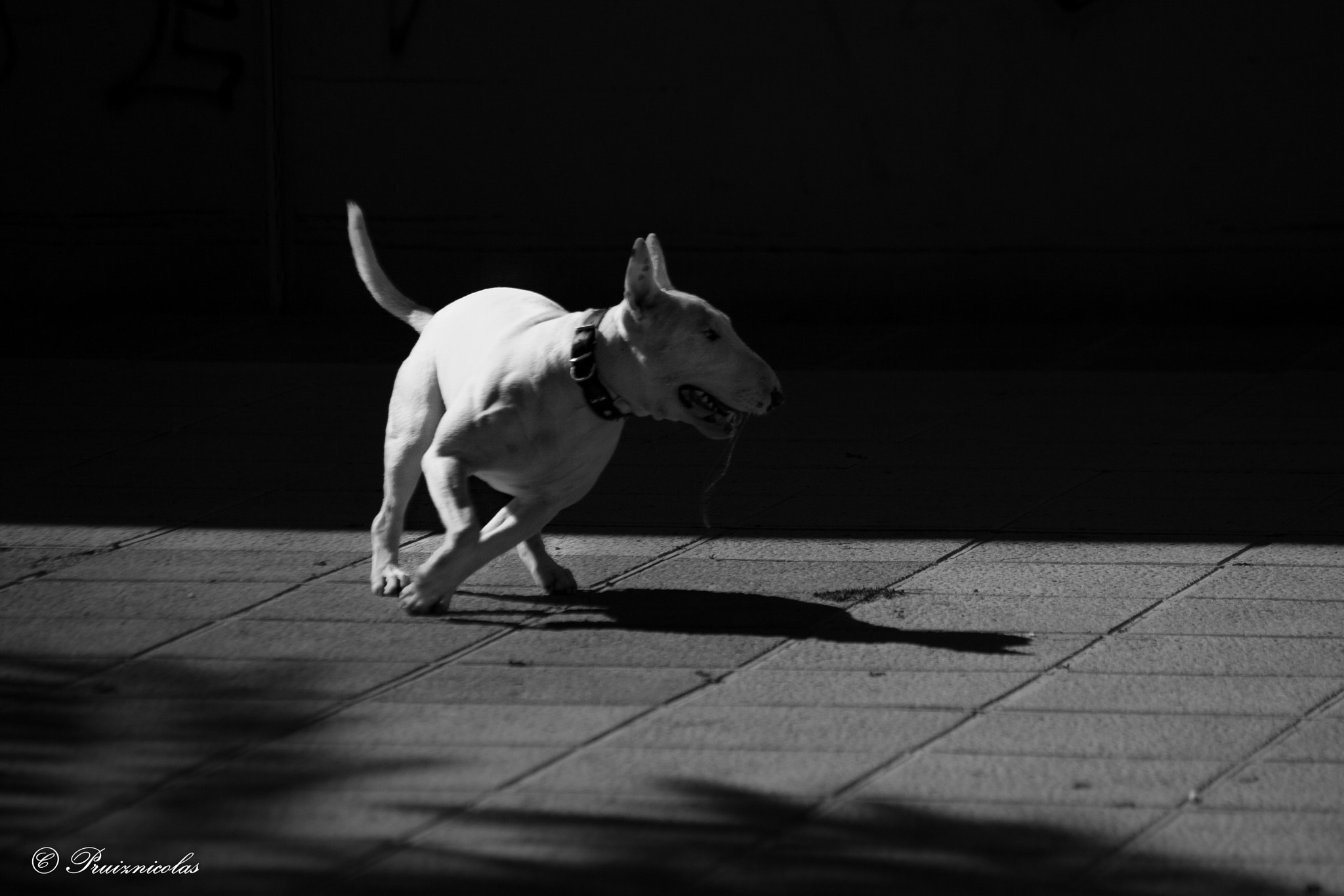 Canon EF 70-300mm F4-5.6 IS USM sample photo