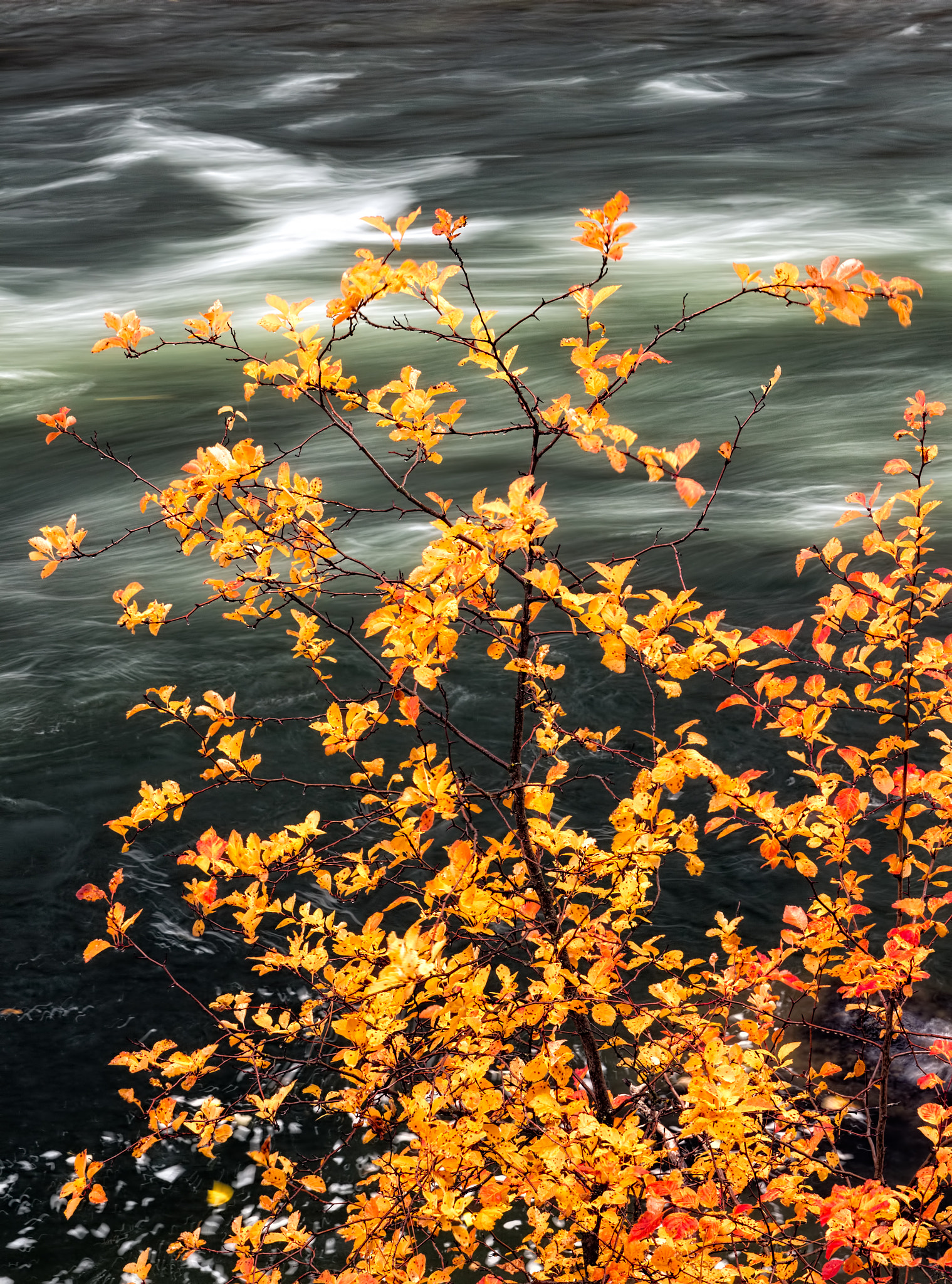 Canon EOS 100D (EOS Rebel SL1 / EOS Kiss X7) sample photo. Wenatchee river photography