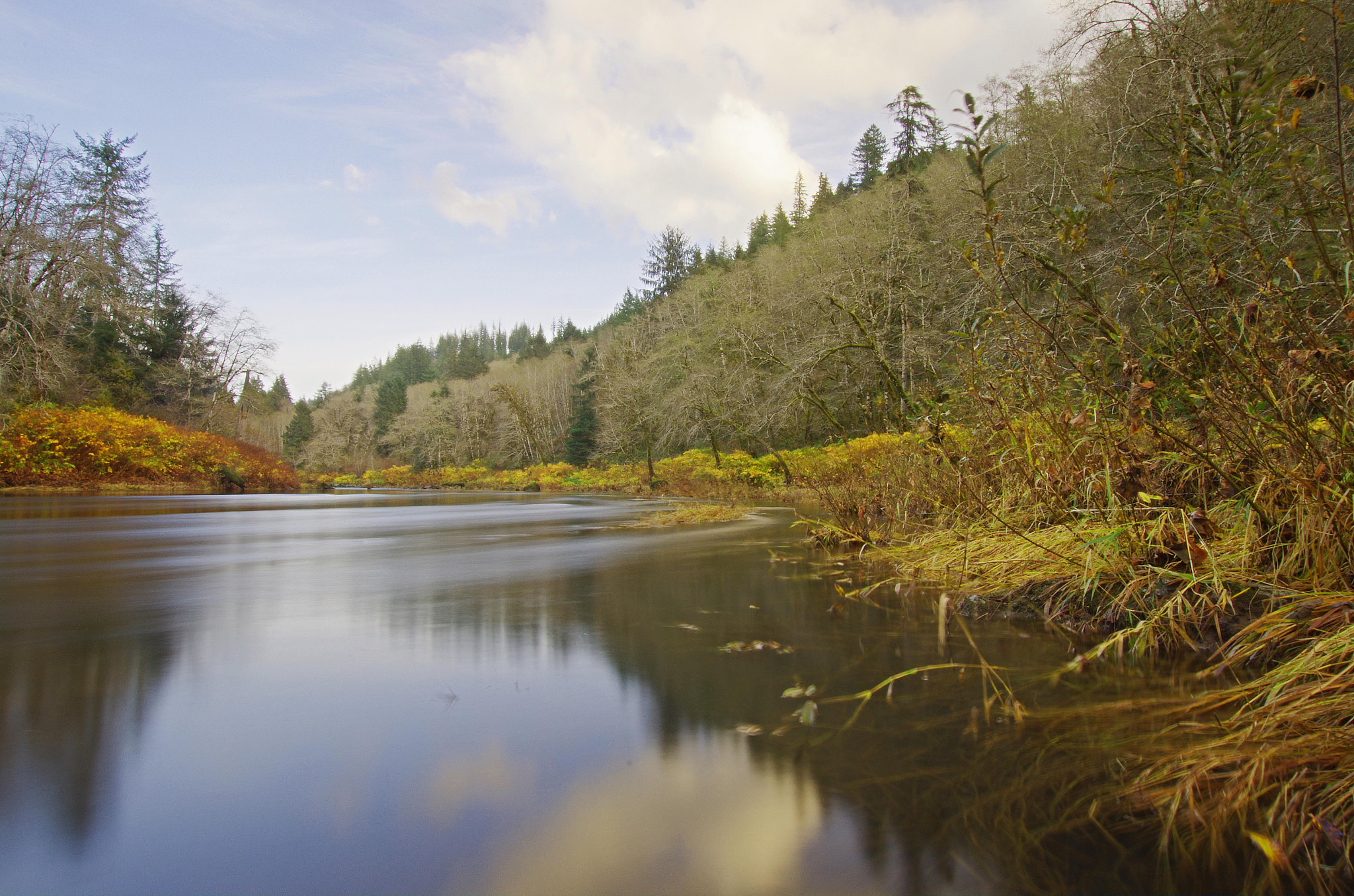 Sigma 10-20mm F3.5 EX DC HSM sample photo. Nehalem river photography