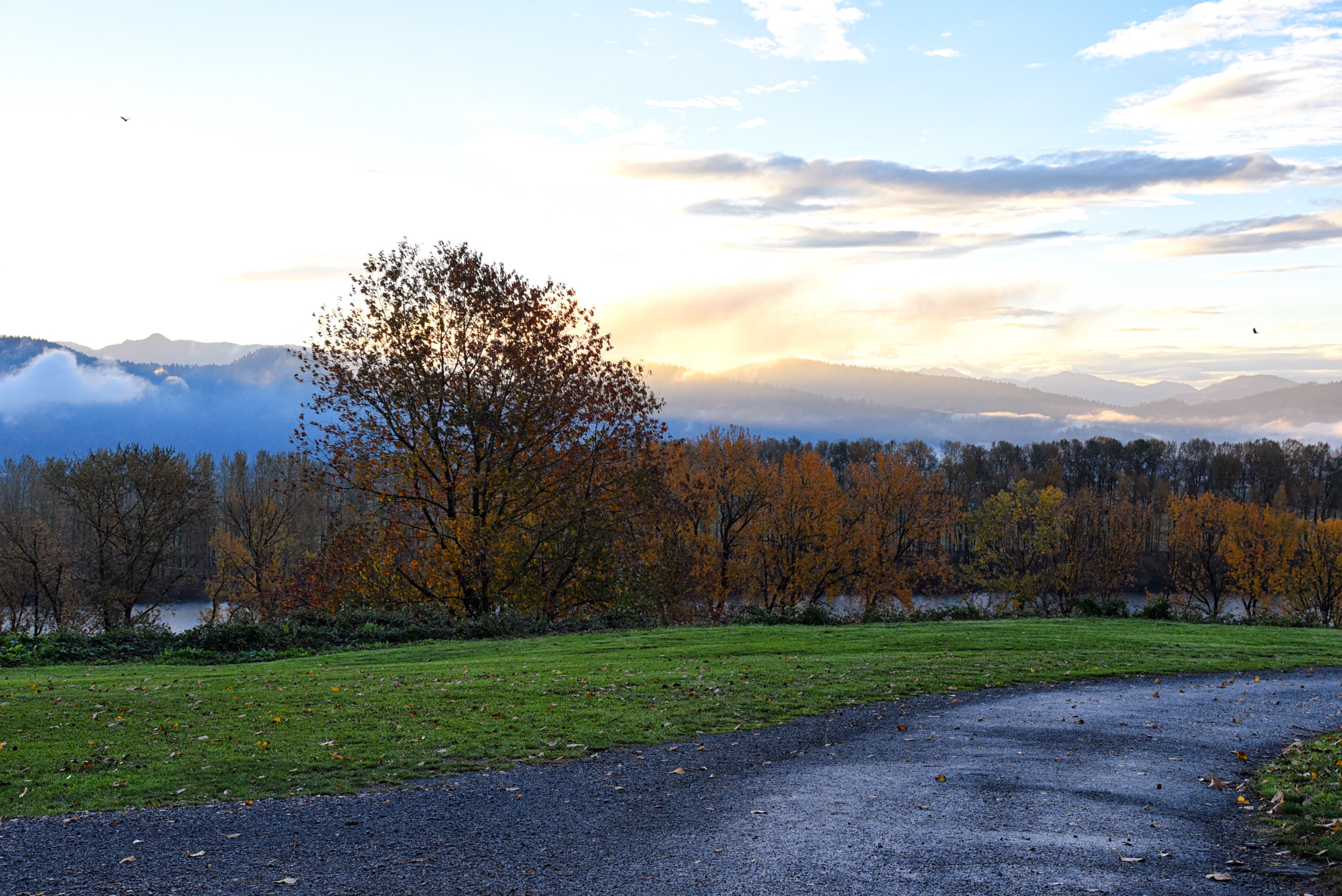 Nikkor 45mm f/2.8 P sample photo. Morning in the valley photography