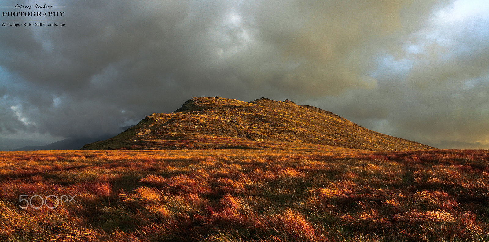 Canon EF-S 18-55mm F3.5-5.6 III sample photo. The comeragh mountains photography