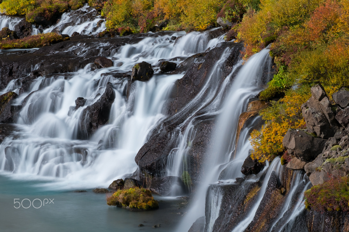 Fujifilm X-E1 + Fujifilm XF 55-200mm F3.5-4.8 R LM OIS sample photo. Color of autumn photography