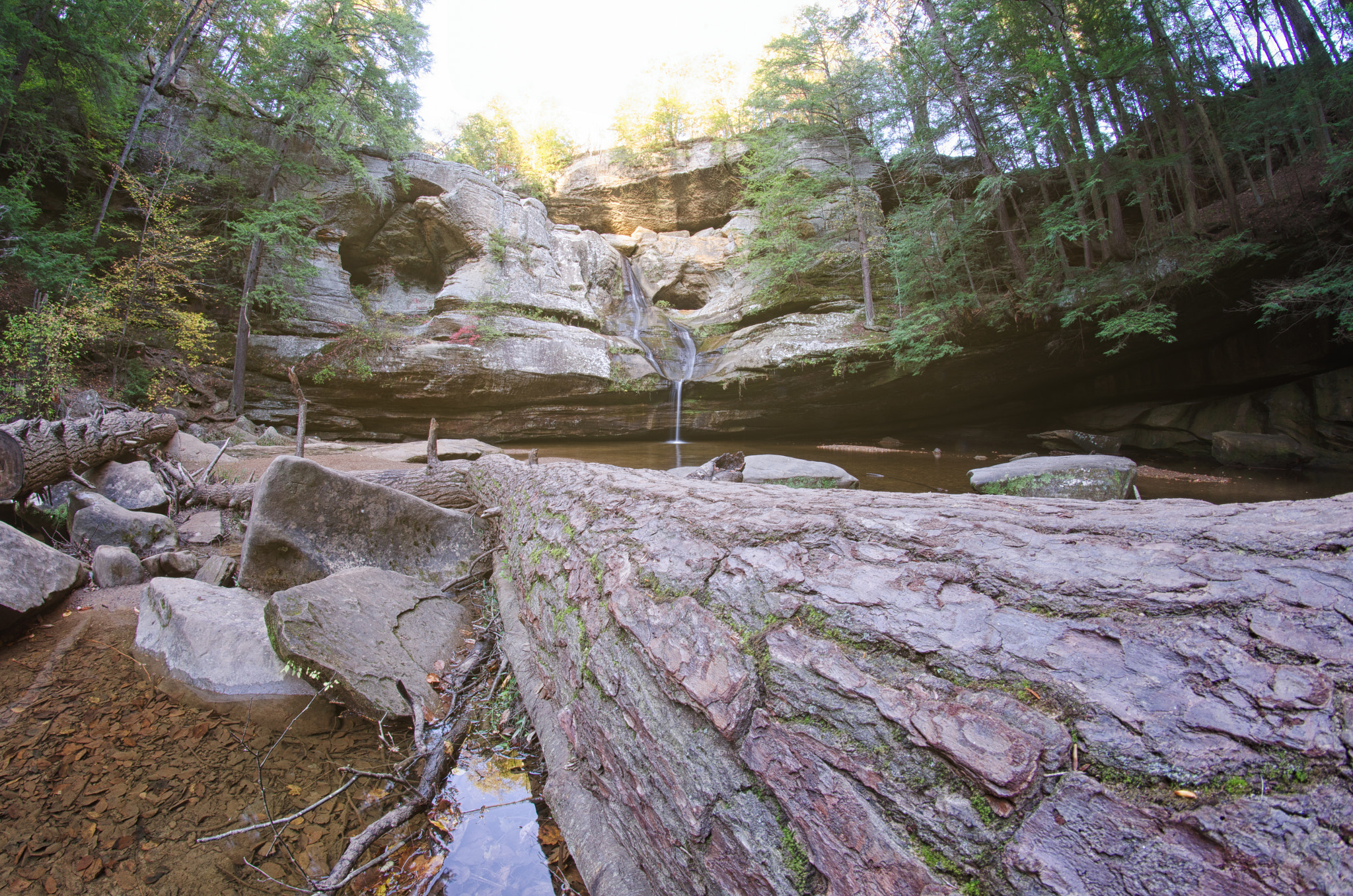 Nikon D7000 + Samyang 8mm F3.5 Aspherical IF MC Fisheye sample photo. Cedar falls photography