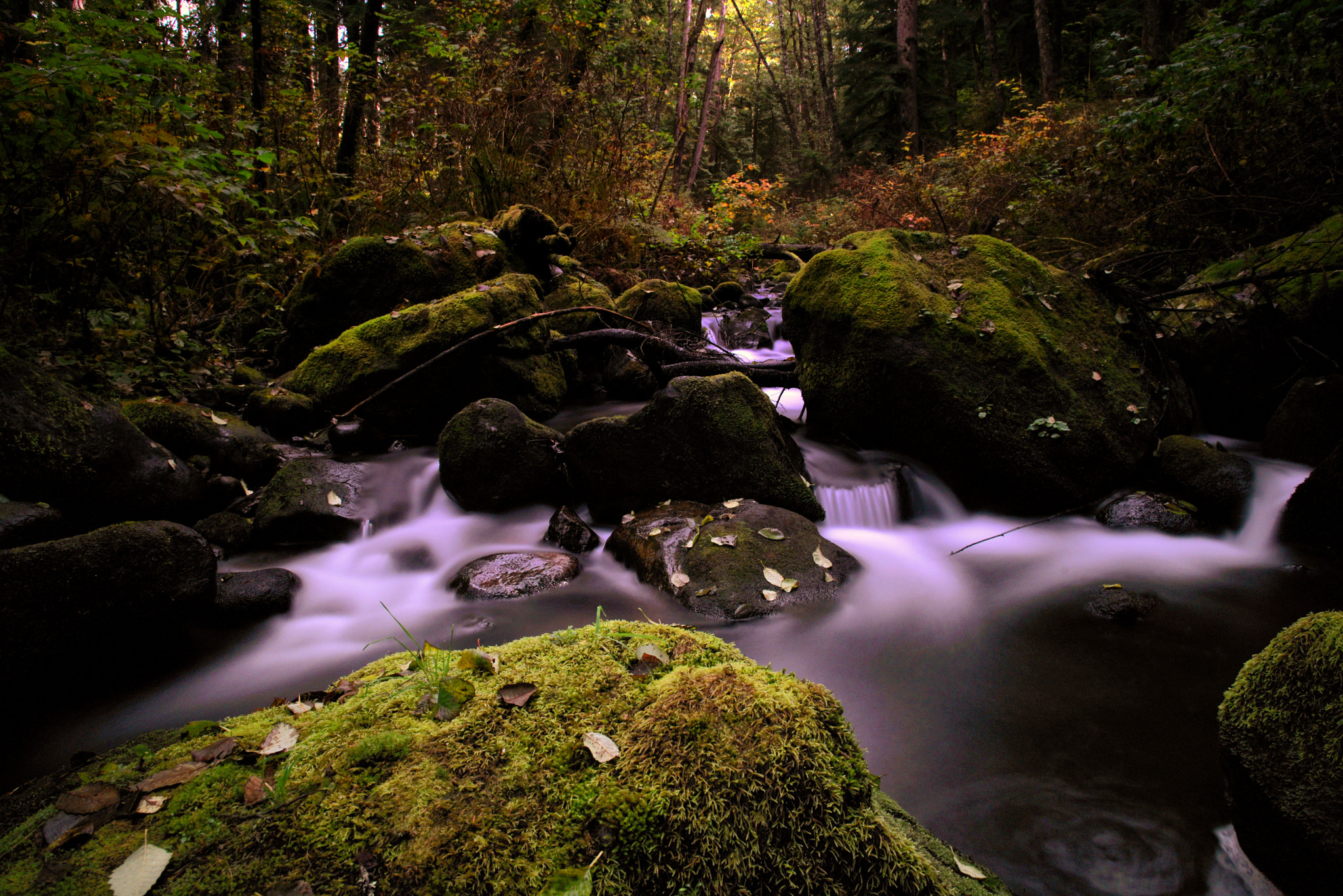 Nikon D750 + Nikon AF Nikkor 20mm F2.8D sample photo. Creek photography