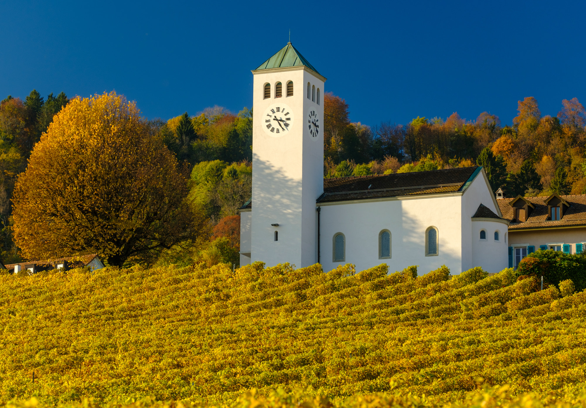 Fujifilm X-Pro2 + Fujifilm XF 55-200mm F3.5-4.8 R LM OIS sample photo. Autumn colours in switzerland photography