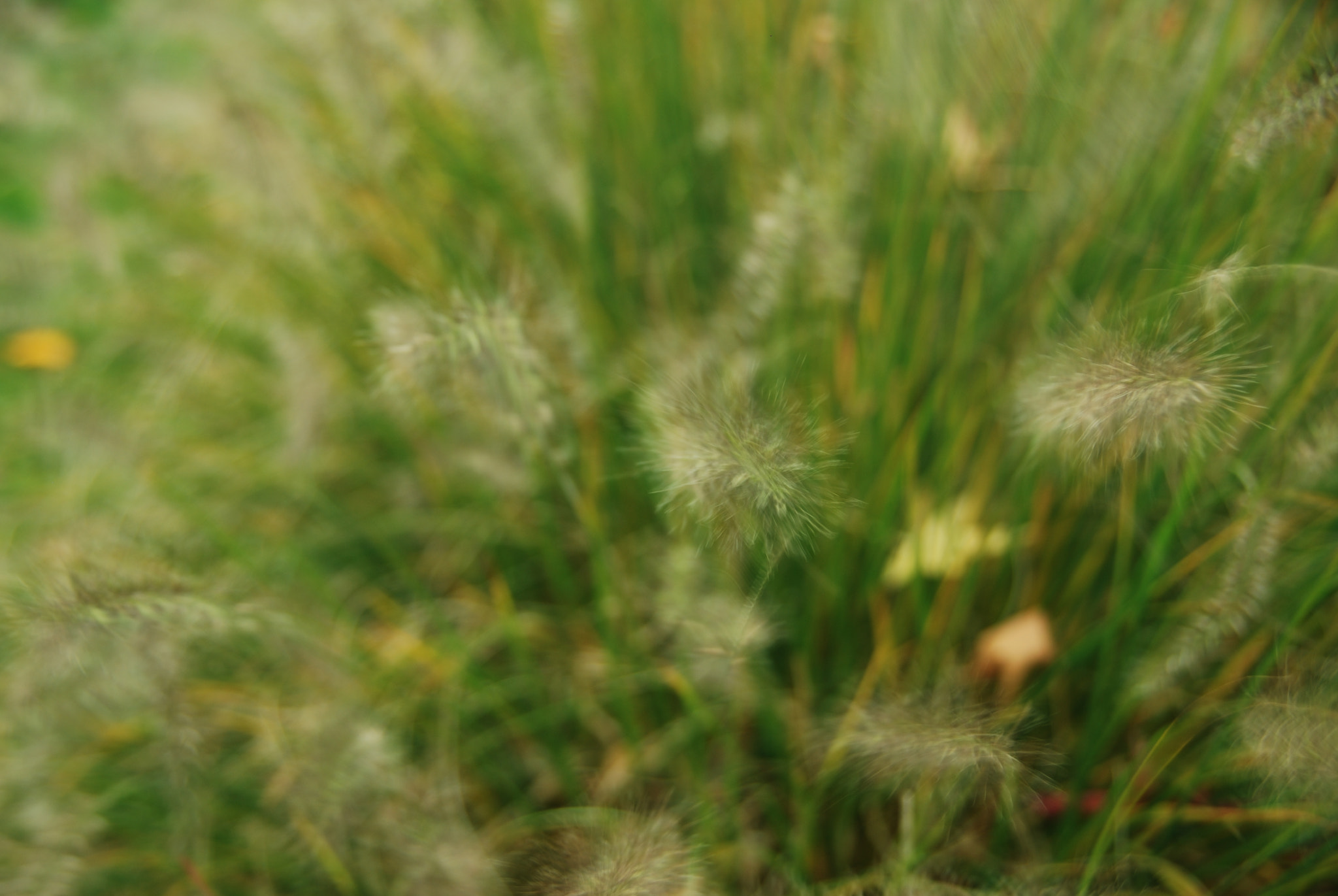 Nikon D80 sample photo. Move. photography