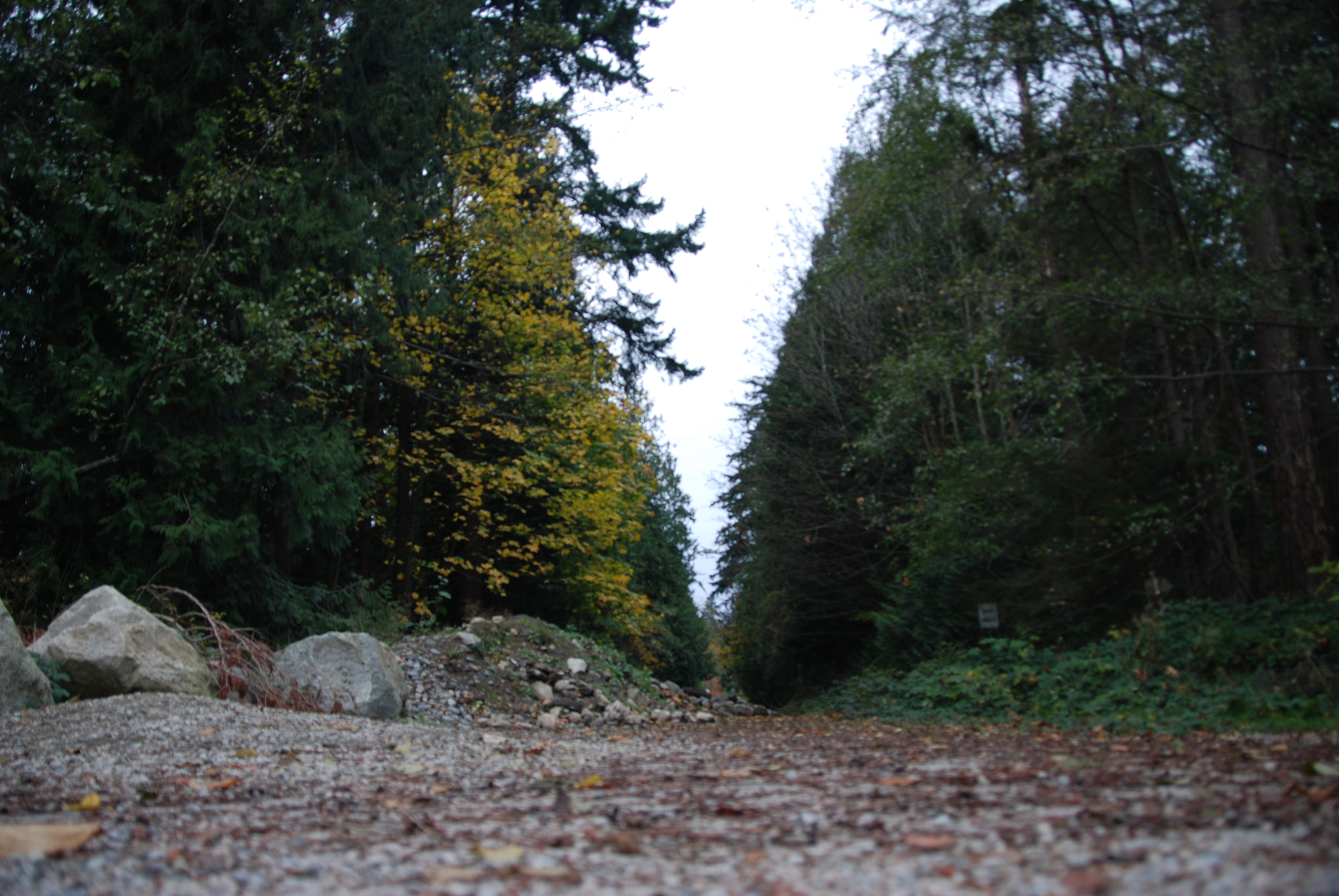 Nikon D80 sample photo. Be careful of a rocky road photography