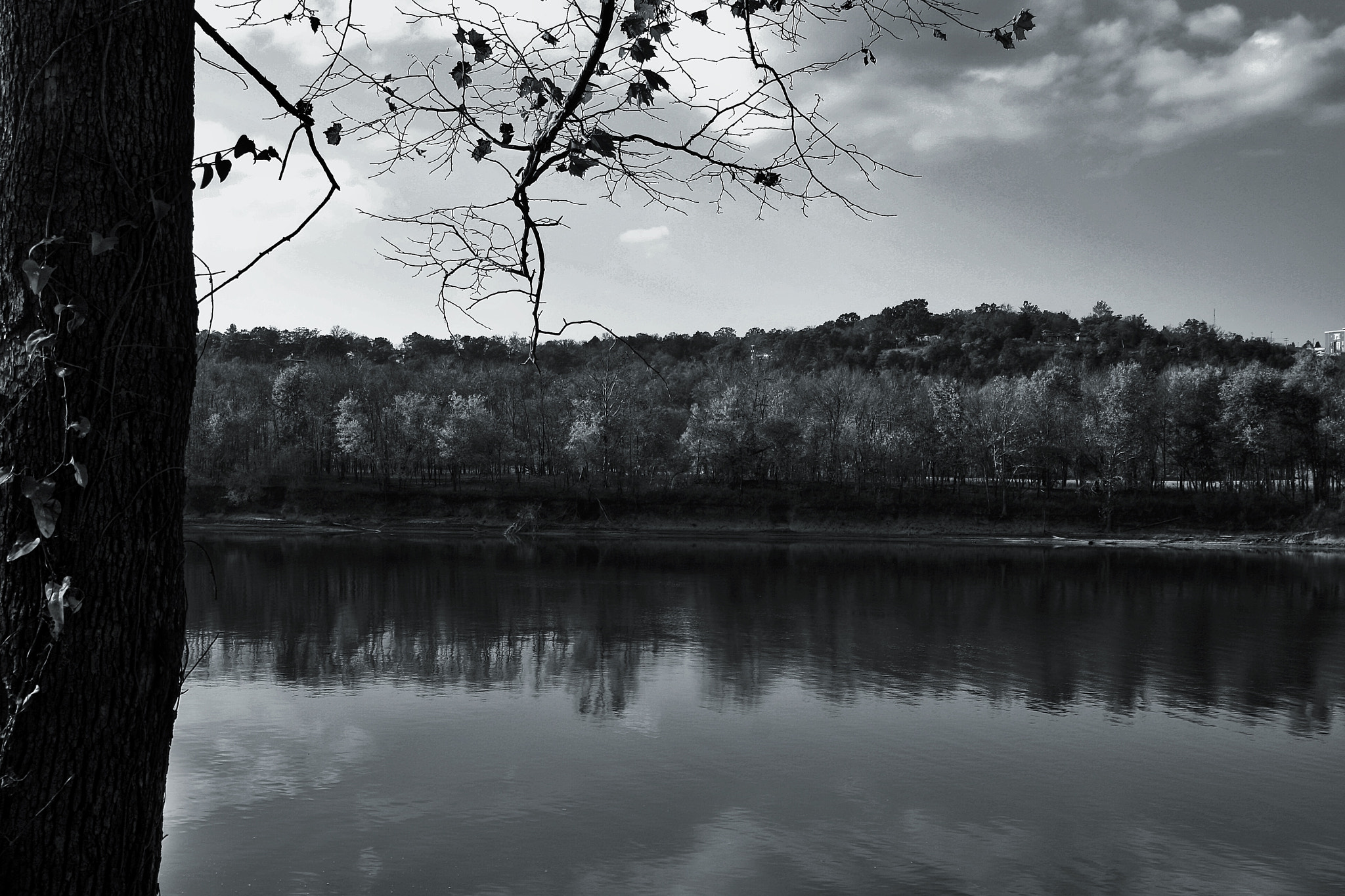 Tamron AF 28-200mm F3.8-5.6 XR Di Aspherical (IF) Macro sample photo. Fall at bullshoals lake photography