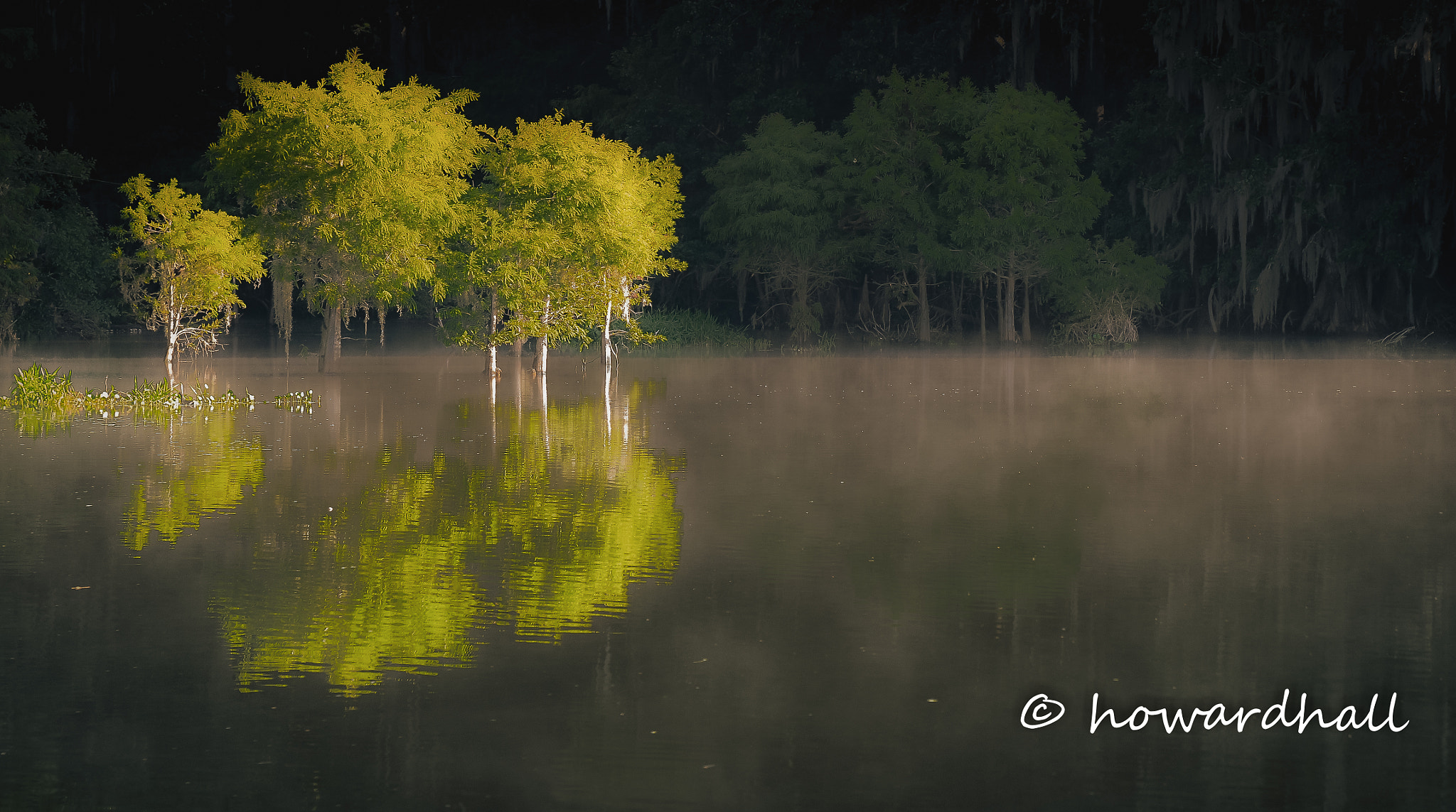 Sigma 17-70mm F2.8-4 DC Macro OS HSM | C sample photo. Early morning on the lake photography