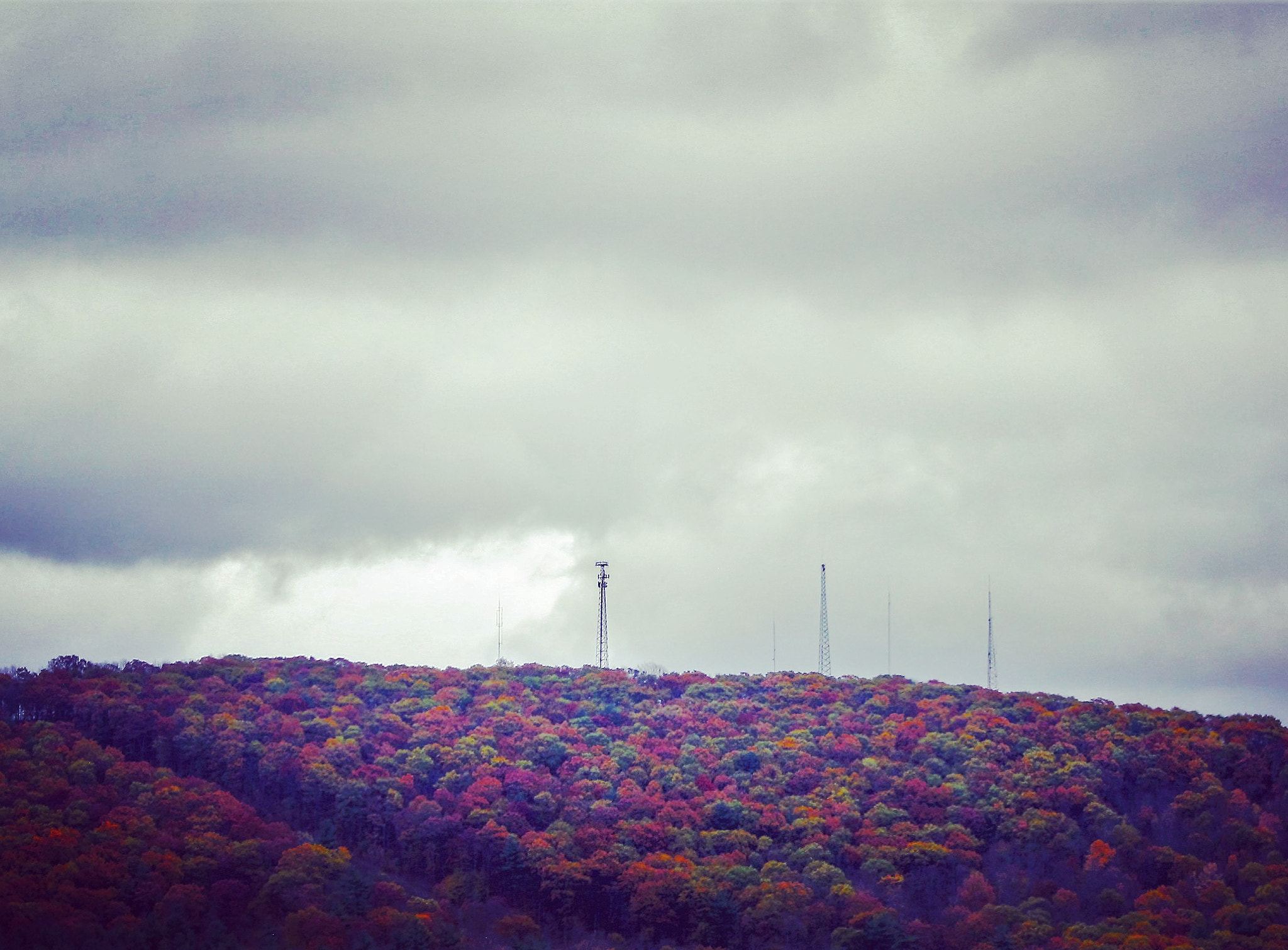 Canon EOS 1000D (EOS Digital Rebel XS / EOS Kiss F) sample photo. Multicolor autumn photography