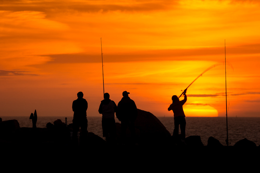 150-600mm F5-6.3 DG OS HSM | Contemporary 015 sample photo. [7839] fishing in montevideo photography