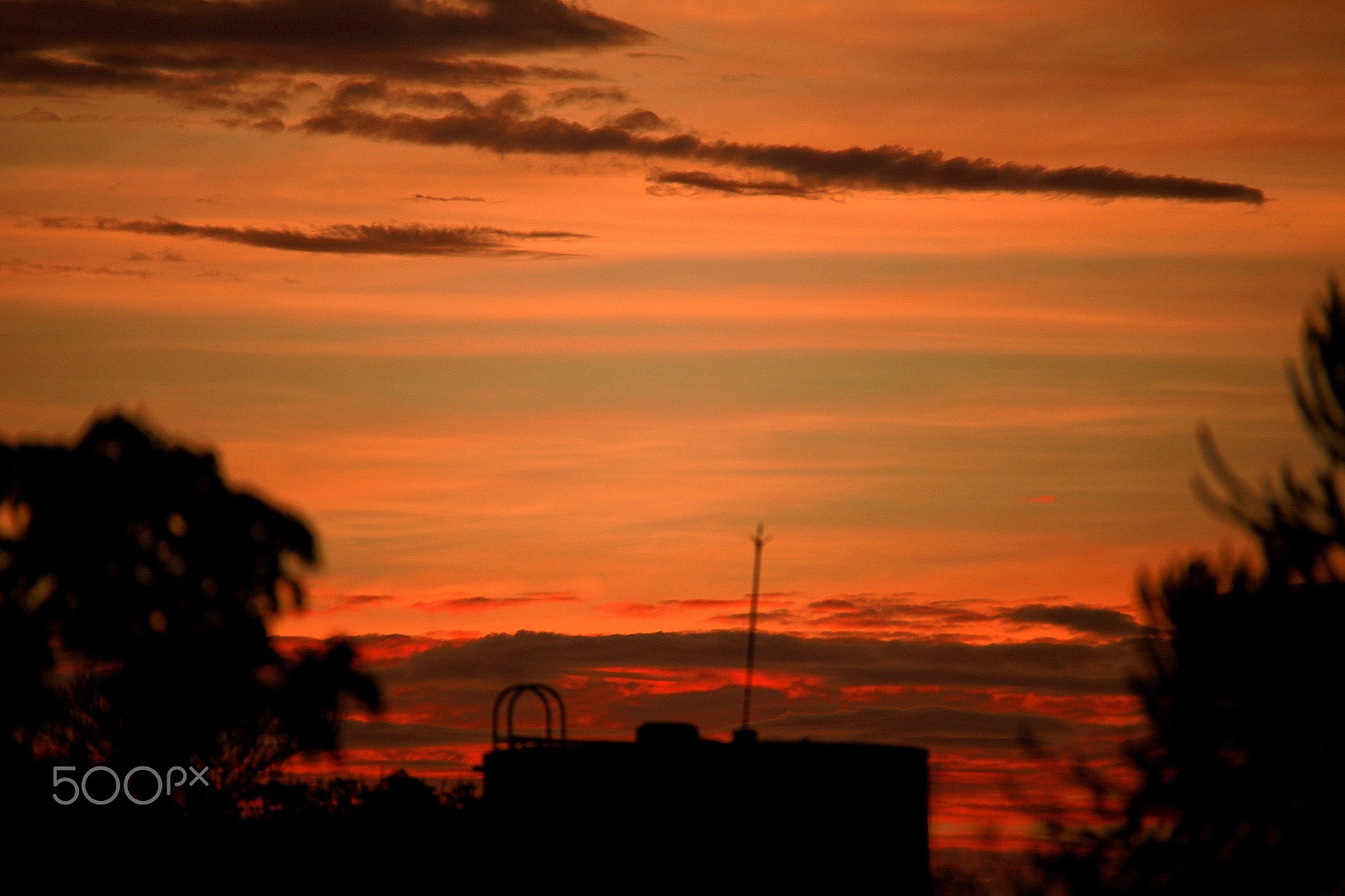Sigma 150-500mm F5-6.3 DG OS HSM sample photo. Belo horizonte, minas gerais / brazil photography