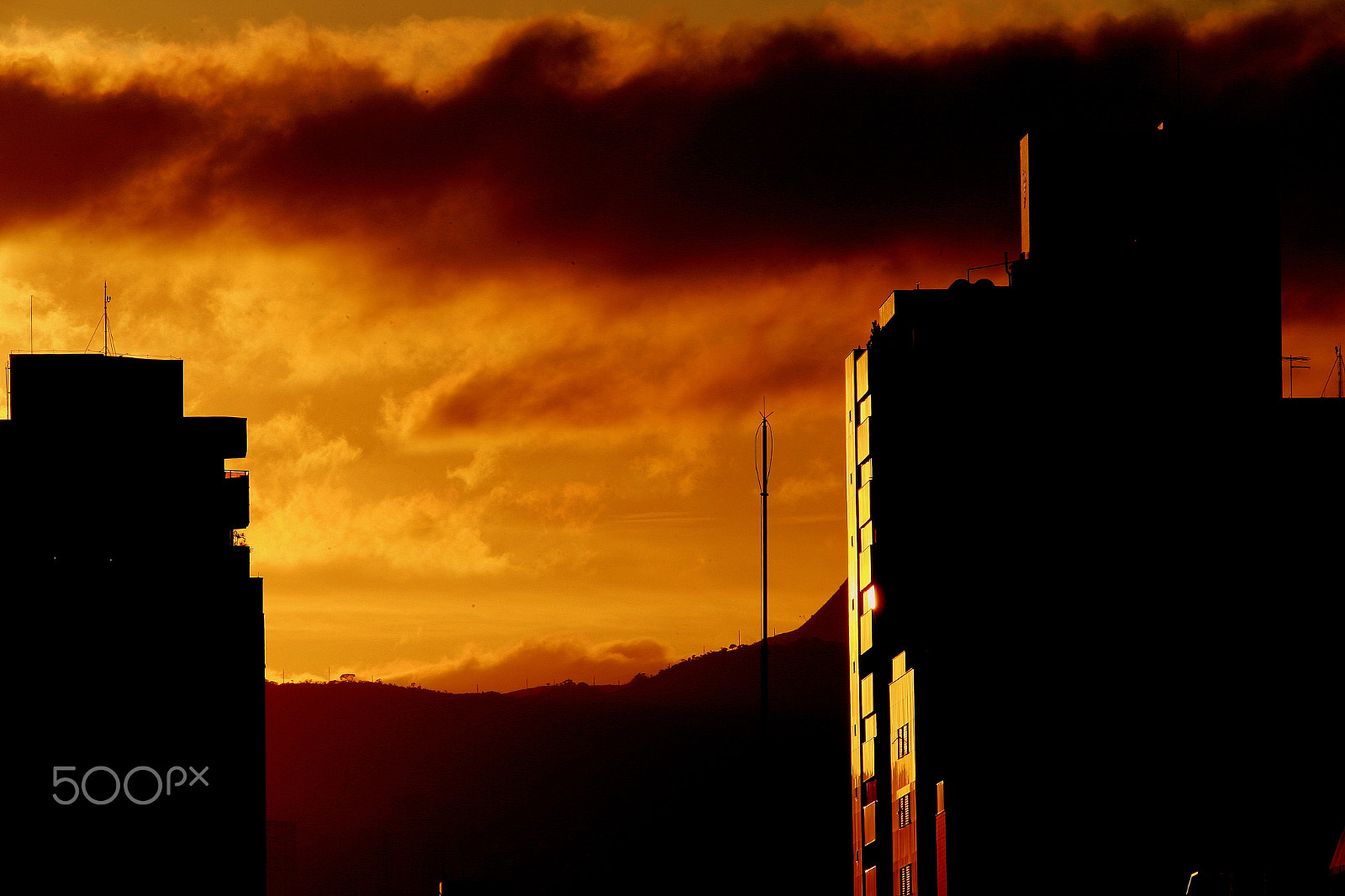 Sigma 150-500mm F5-6.3 DG OS HSM sample photo. Belo horizonte, minas gerais / brazil photography