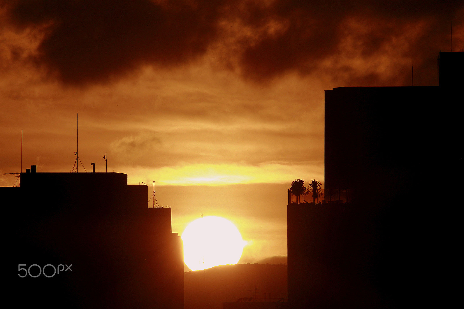 Sigma 150-500mm F5-6.3 DG OS HSM sample photo. Belo horizonte, minas gerais / brazil photography