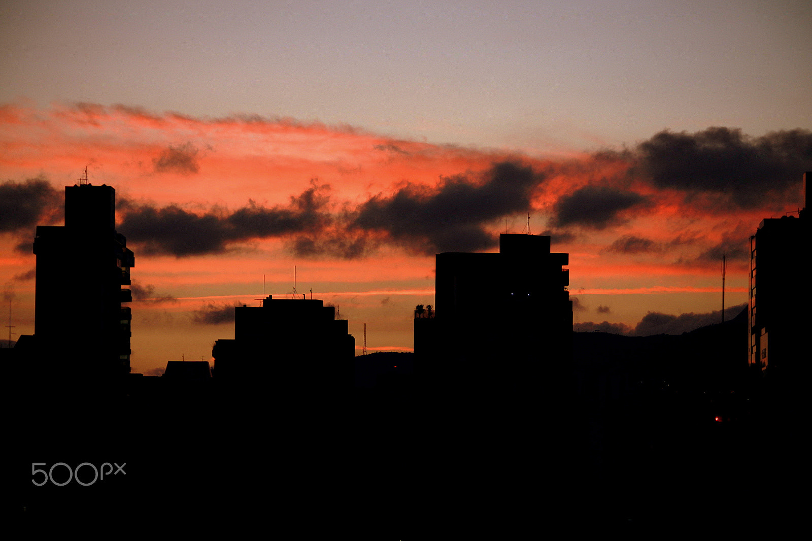 Sigma 150-500mm F5-6.3 DG OS HSM sample photo. Belo horizonte, minas gerais / brazil photography