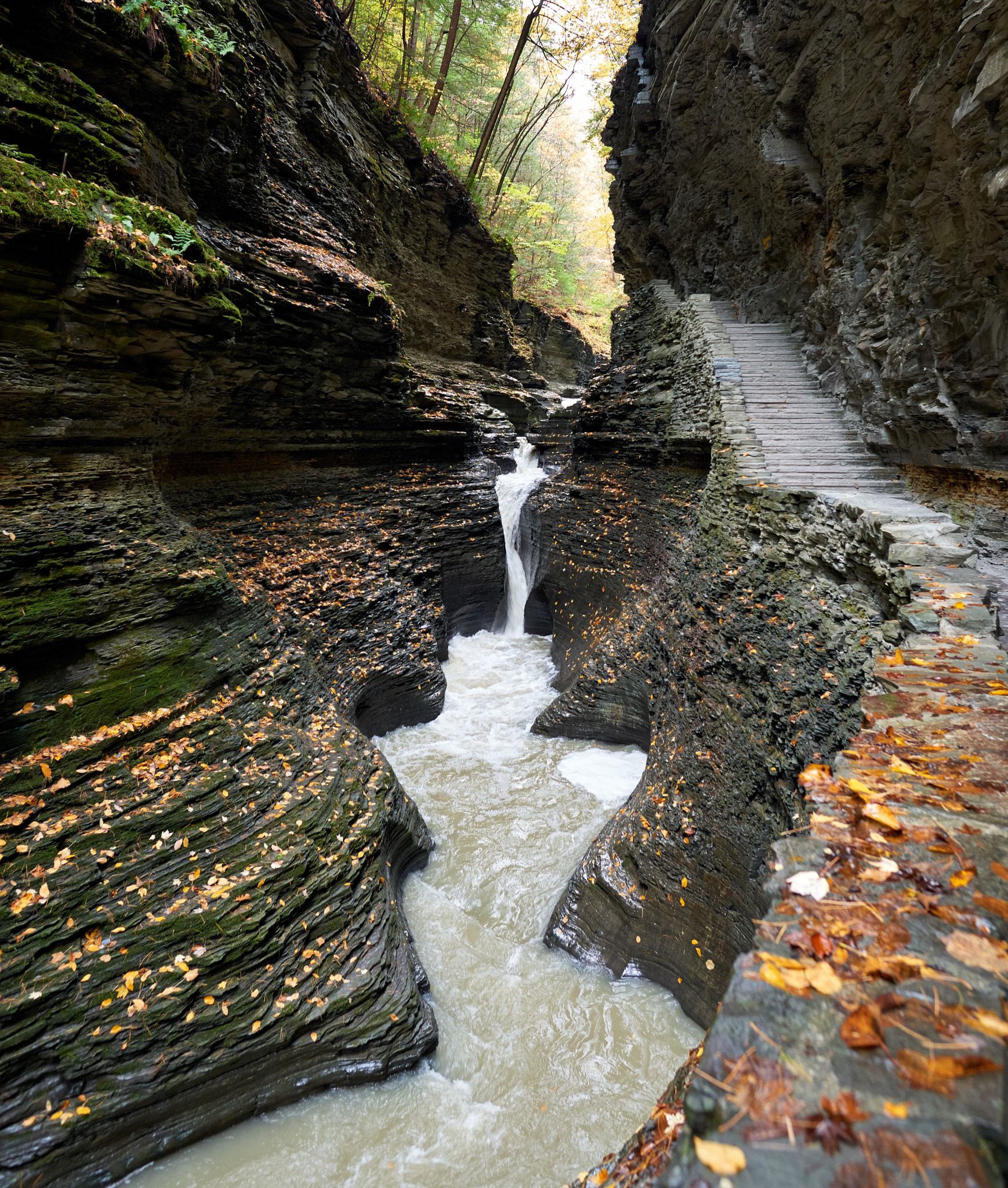 Nikon D800 sample photo. Delving deeper into watkins glen. photography