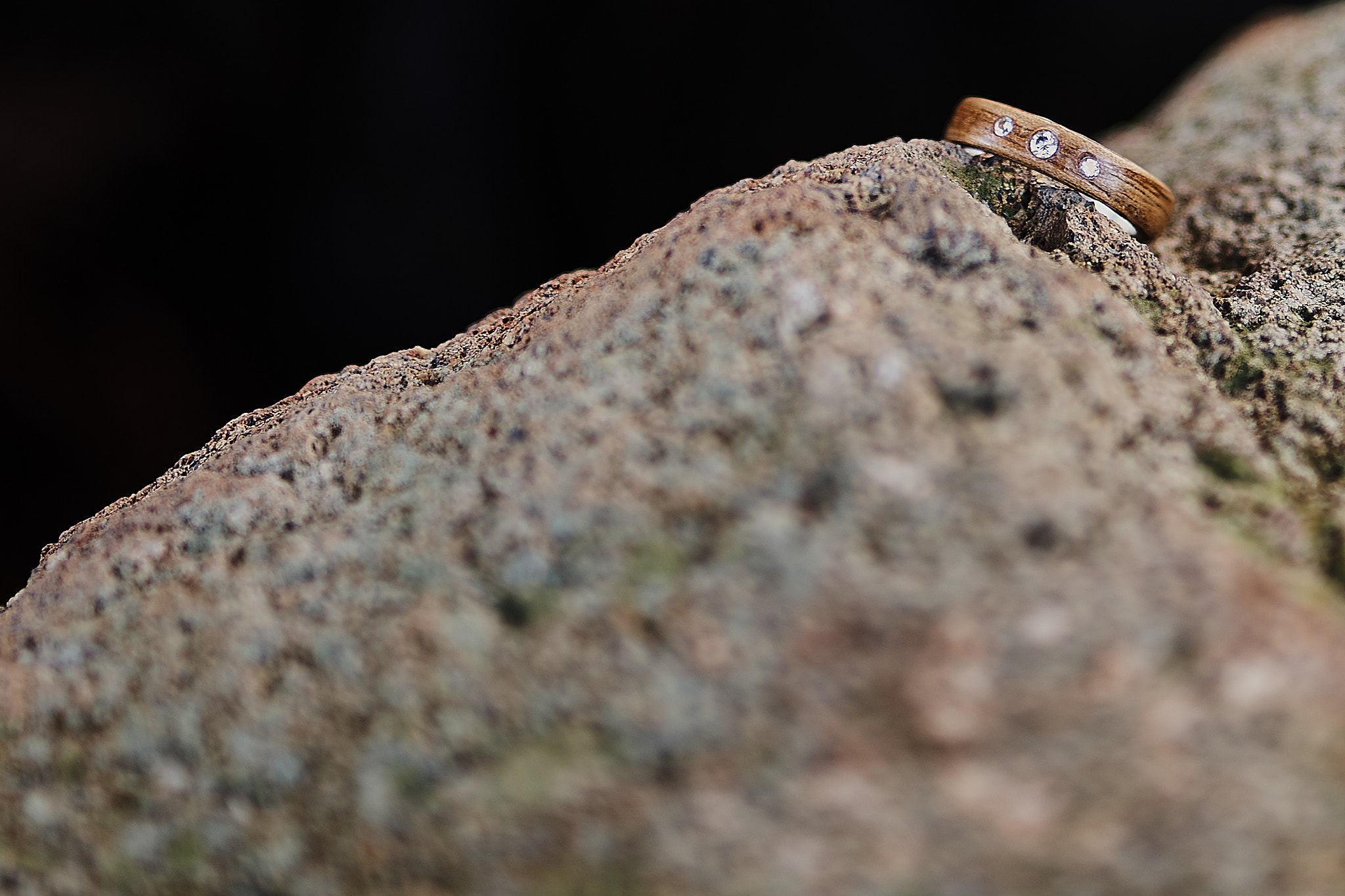 ZEISS Batis 85mm F1.8 sample photo. Ring photography
