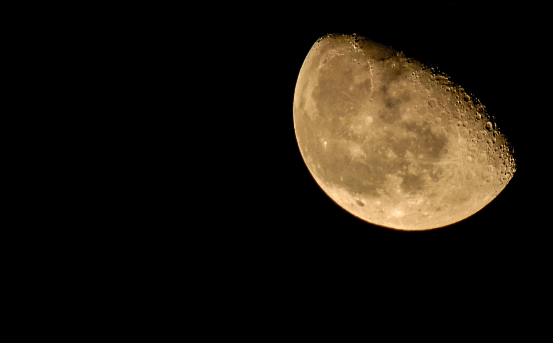 Sigma 50-500mm F4-6.3 EX APO RF HSM sample photo