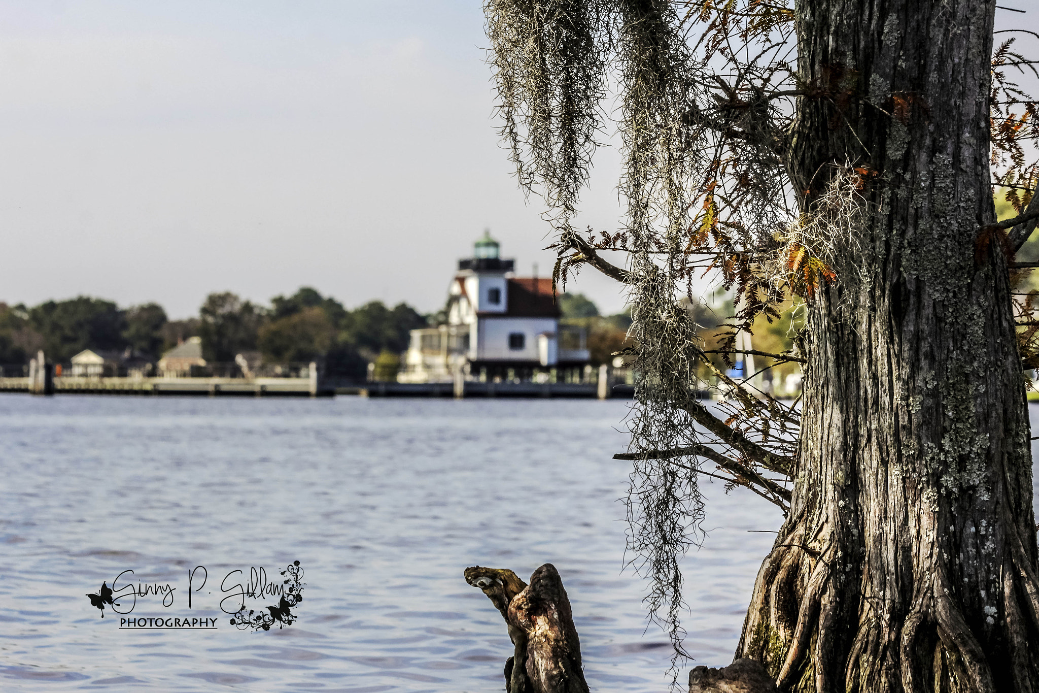 Canon EF 70-300mm F4-5.6 IS USM sample photo. Take a look photography